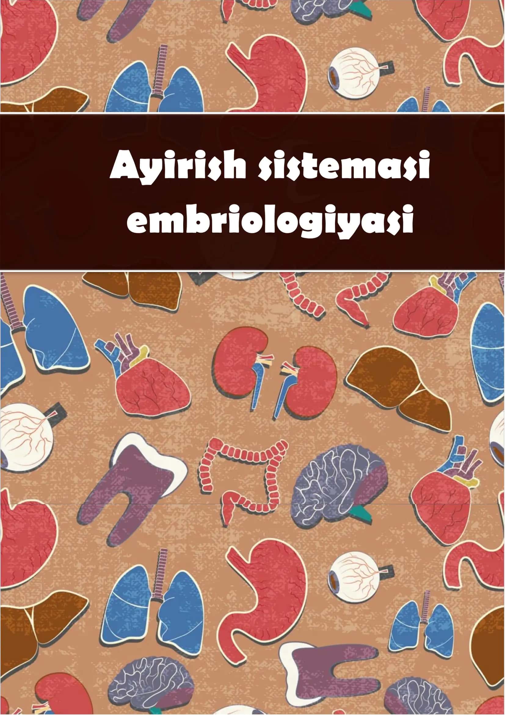 Ayirish sistemasi embriologiyasi 1