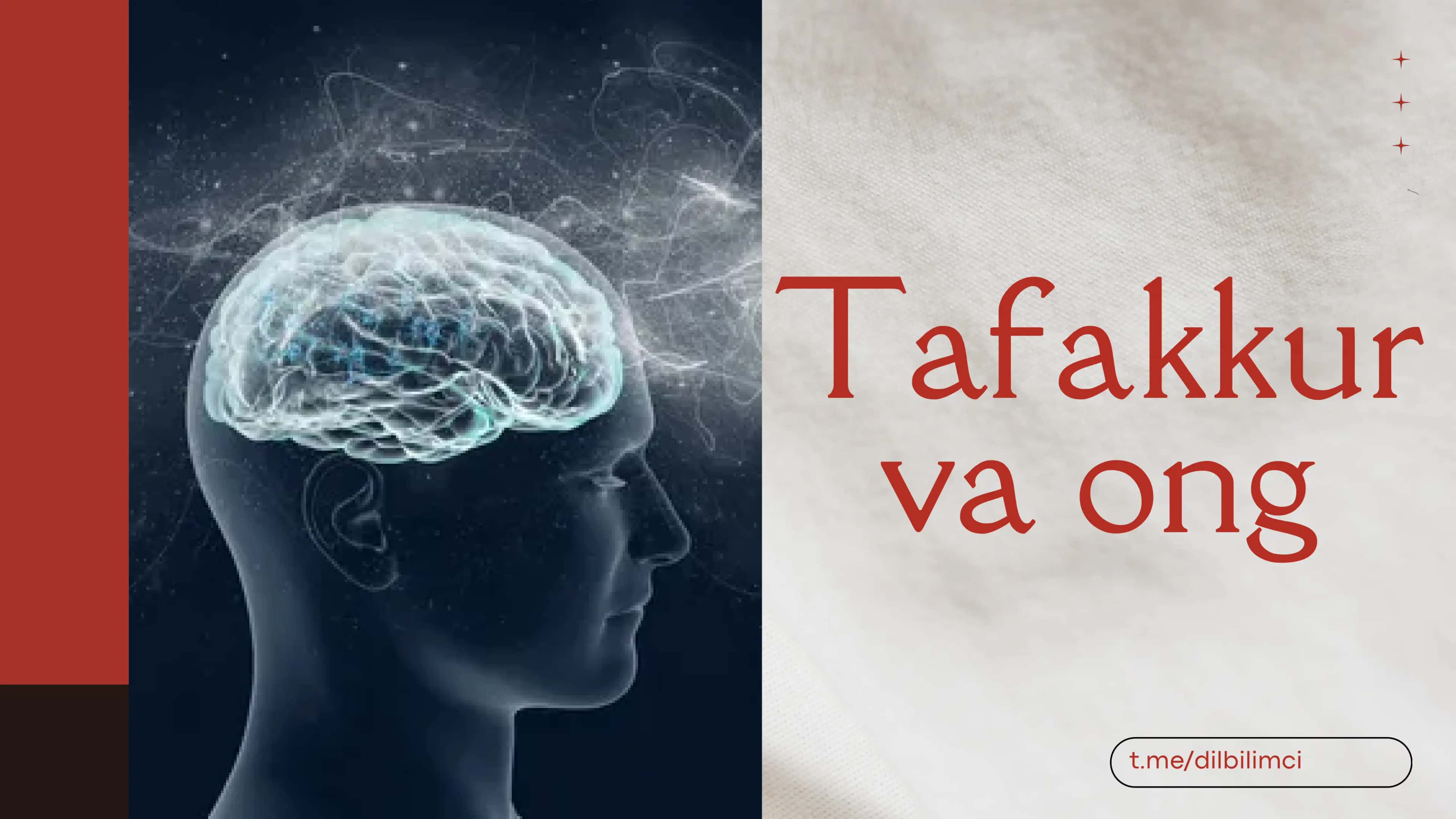 Tafakkur va ong 1