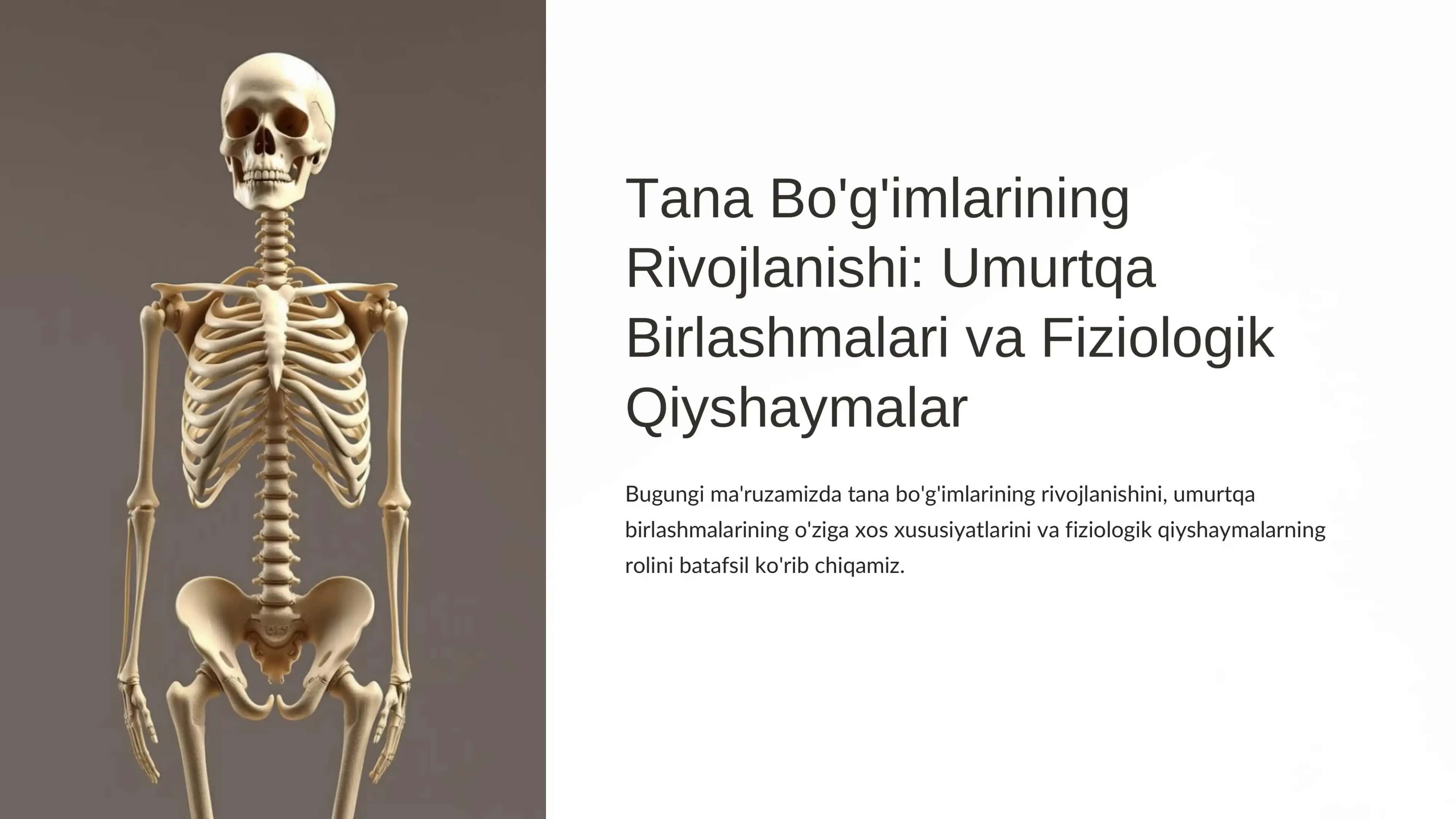 Tana Bo'g'imlarining Rivojlanishi 1