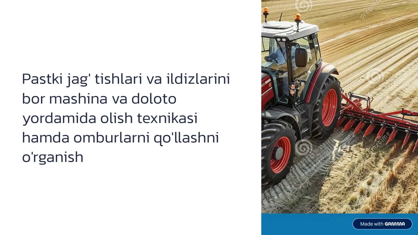 Pаstki jаg’ tishlаri vа ildizlаrini bоr mаshinа vа dоlоtо yordаmidа оlish texnikаsi. Omburlarni qo’llashni o’rganish. 1