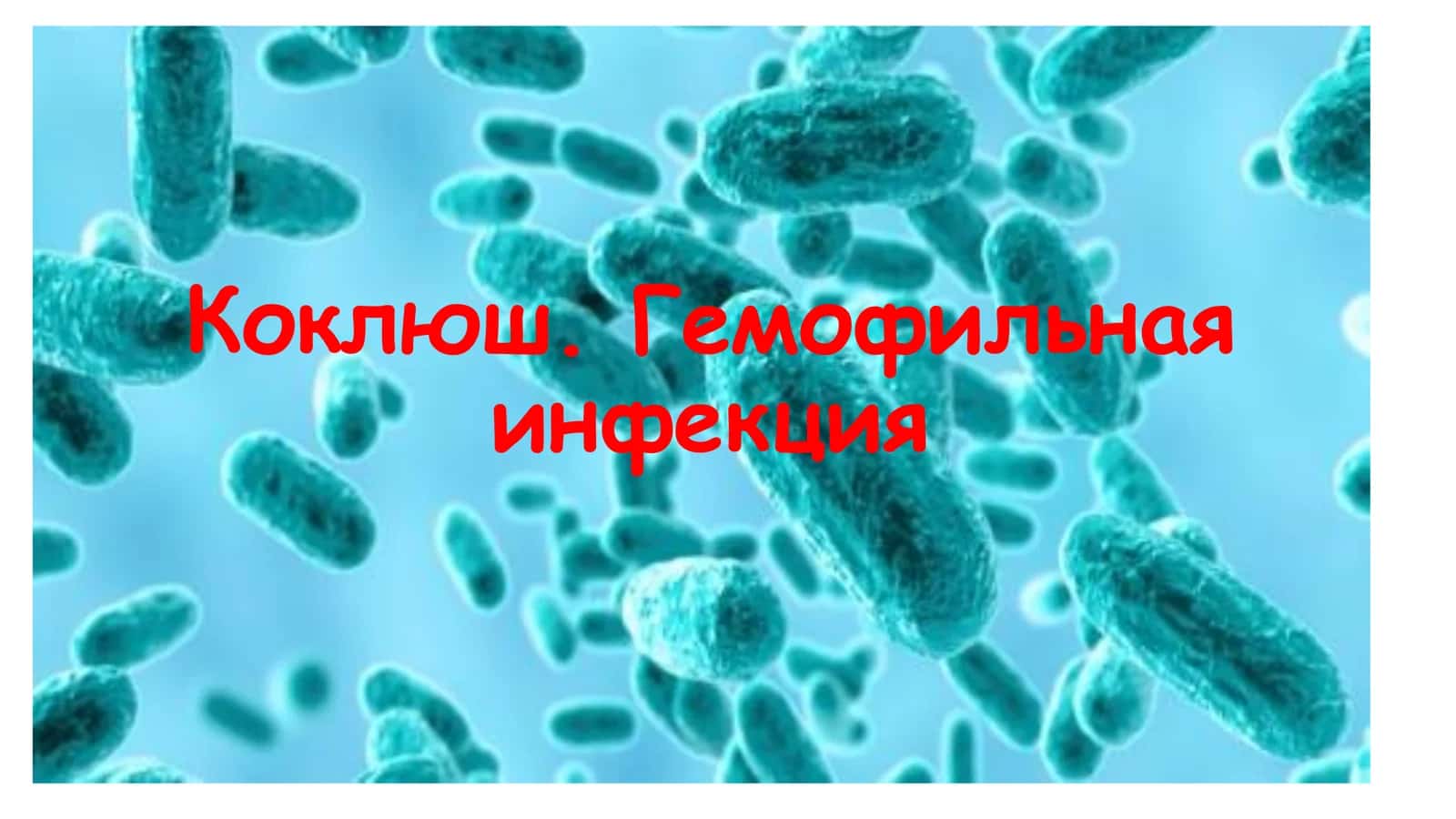 Коклюш. Гемофильная инфекция 1