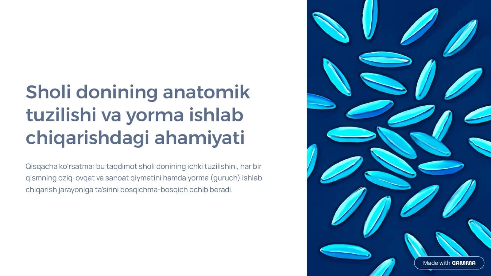 Sholi donining anatomik tuzilishi va yorma ishlab chiqarishdagi ahamiyati 1