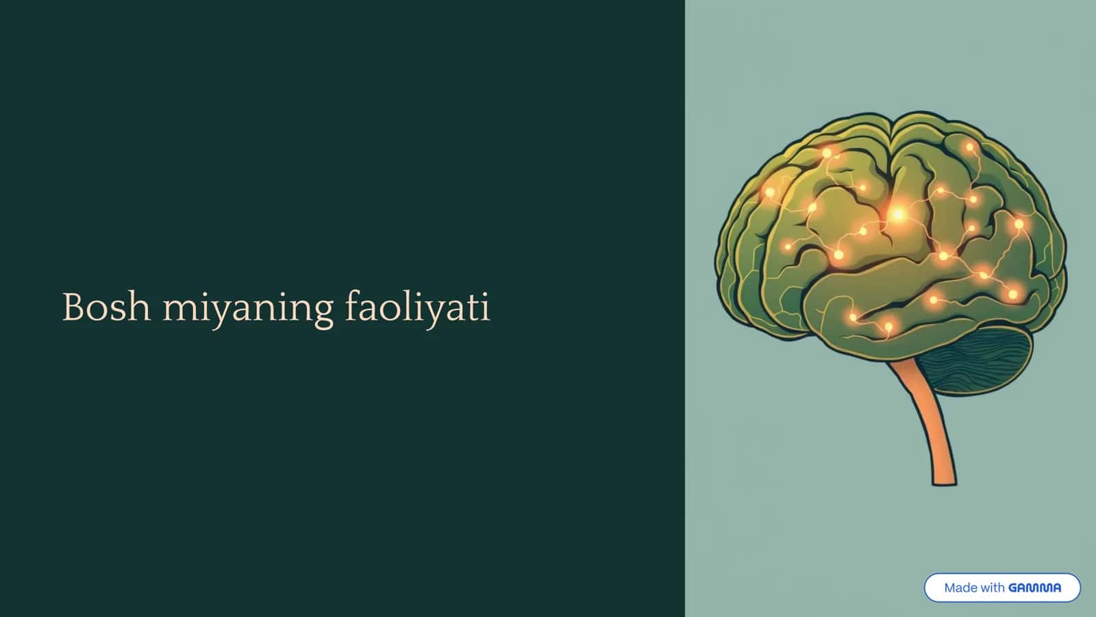 Bosh Miyaning Faoliyati 1