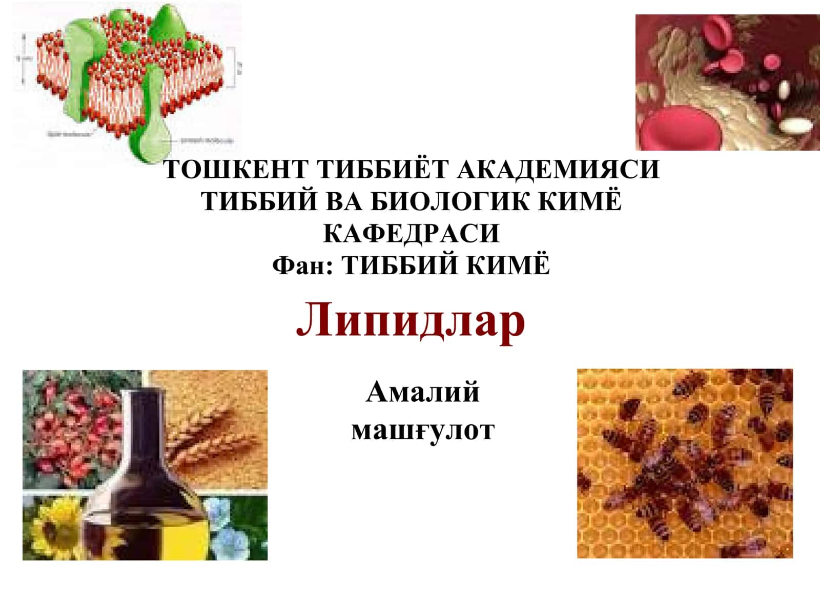 Липидлар 1