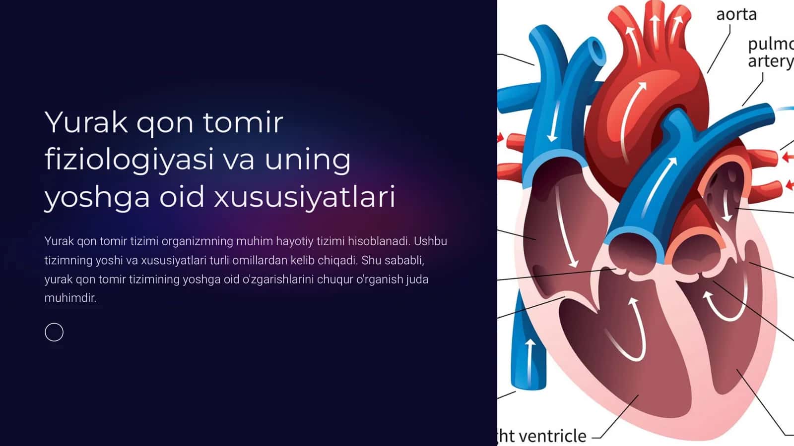 Yurak qon tomir  fiziologiyasi va uning  yoshga oid xususiyatlari 1