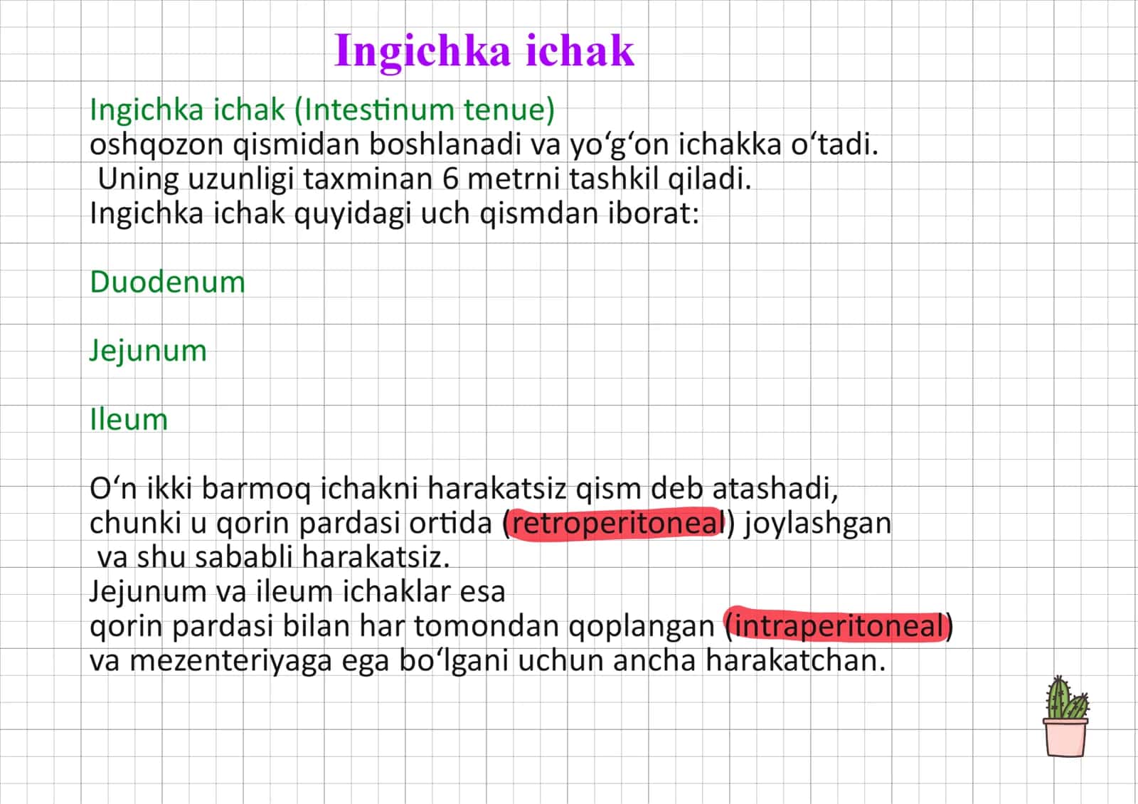 Duodenum ileum yeyunum haqida toliq 1