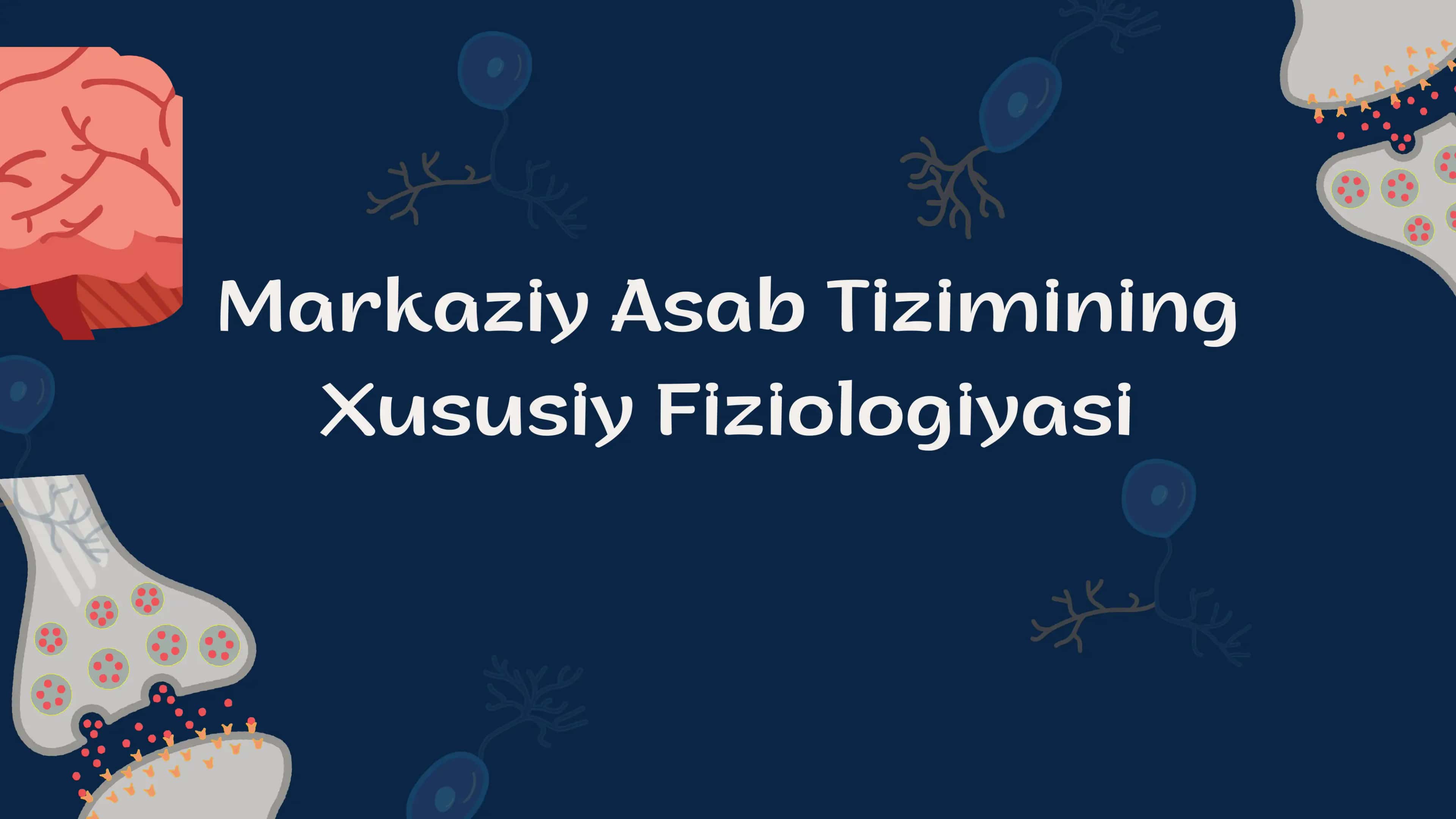 Markaziy asab tizimining  xususiy Fiziyalogiyasi 1