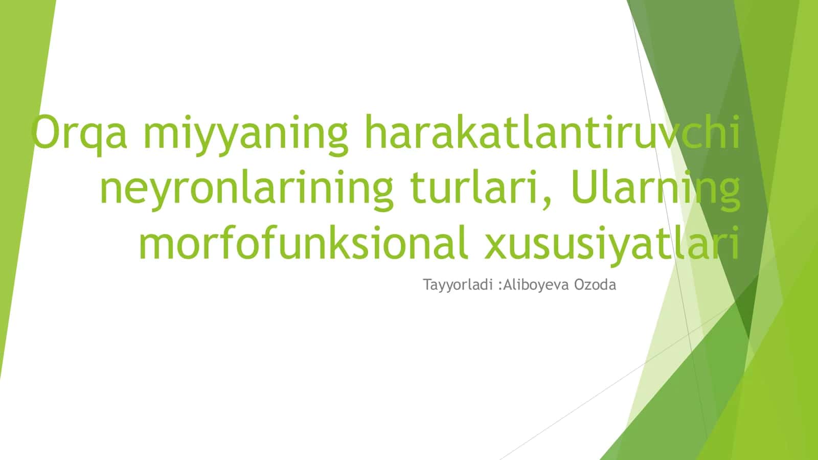 Orqa miyyaning harakatlantiruvchi neyronlarining turlari, Ularning morfofunksional xususiyatlari 1