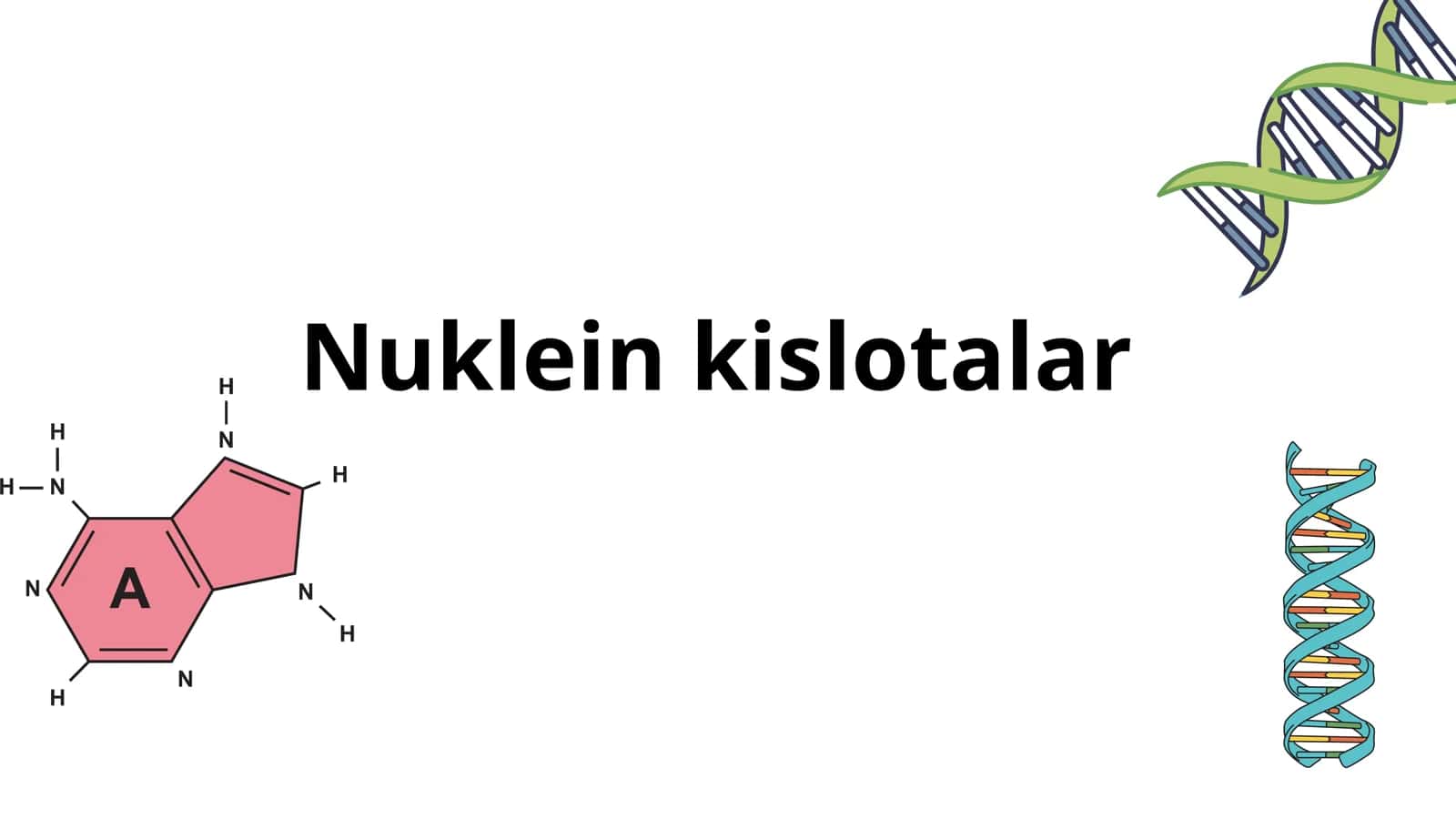 Nuklein kislotalar 1