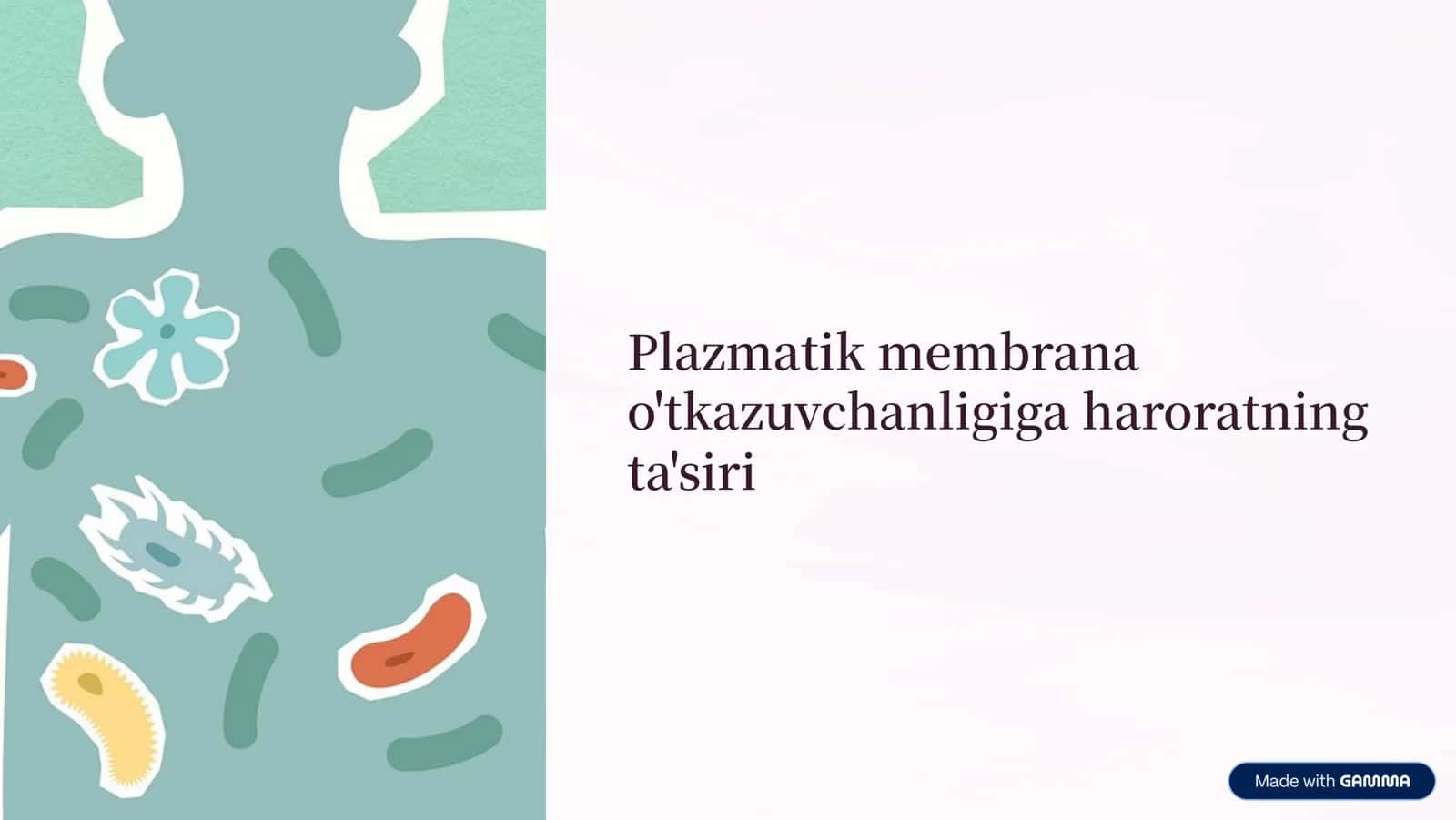 Plazmatik membrana o'tkazuvchanligiga haroratning ta'siri 1