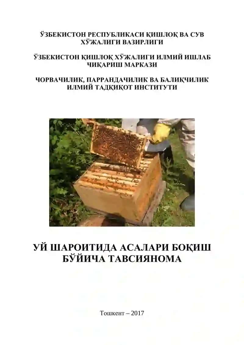 Uy sharoitida asalarichilik uchun tavsiyanoma 1