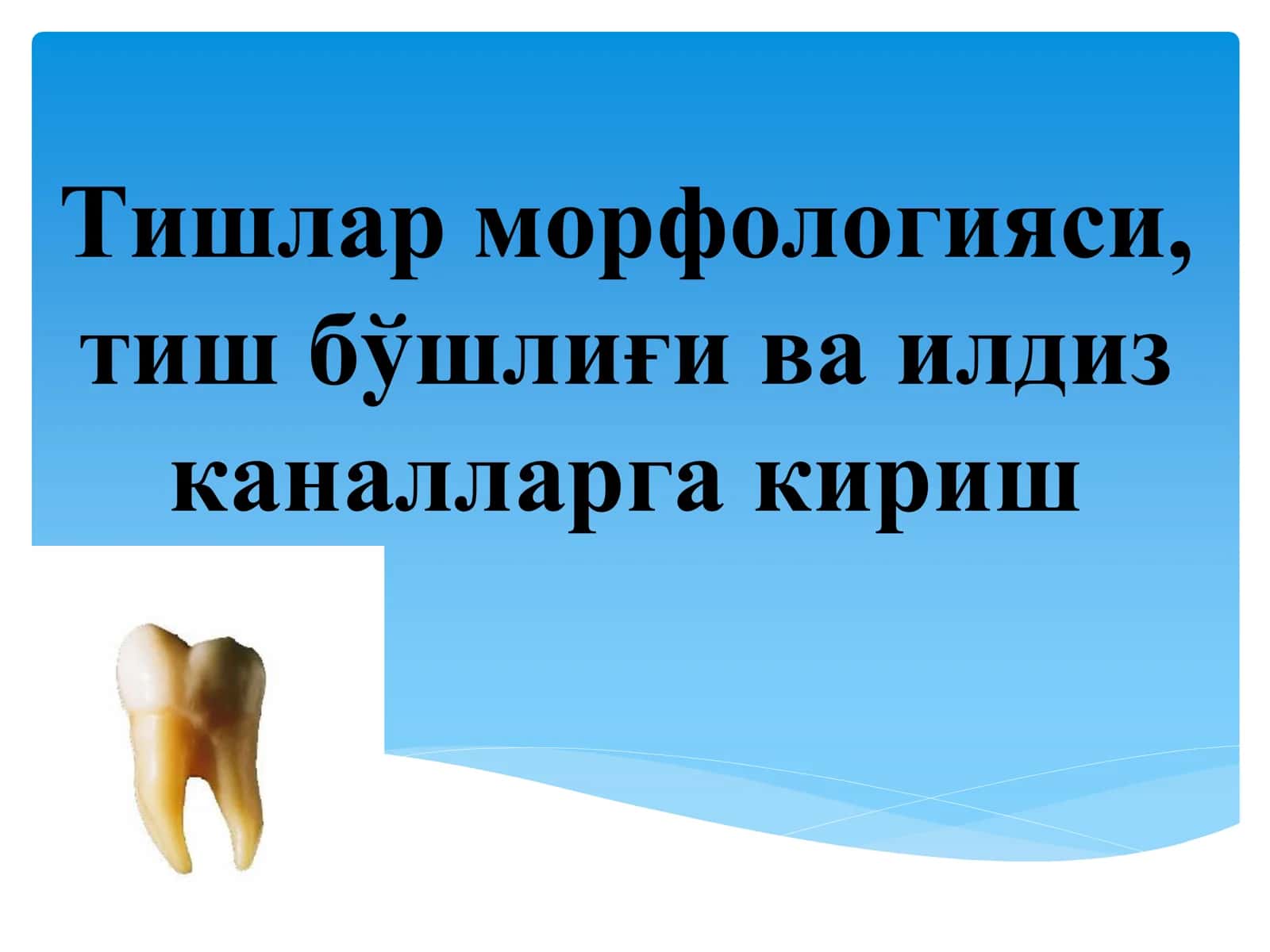 Тишлар морфологияси, тиш бўшлиғи ва илдиз каналларга кириш 1