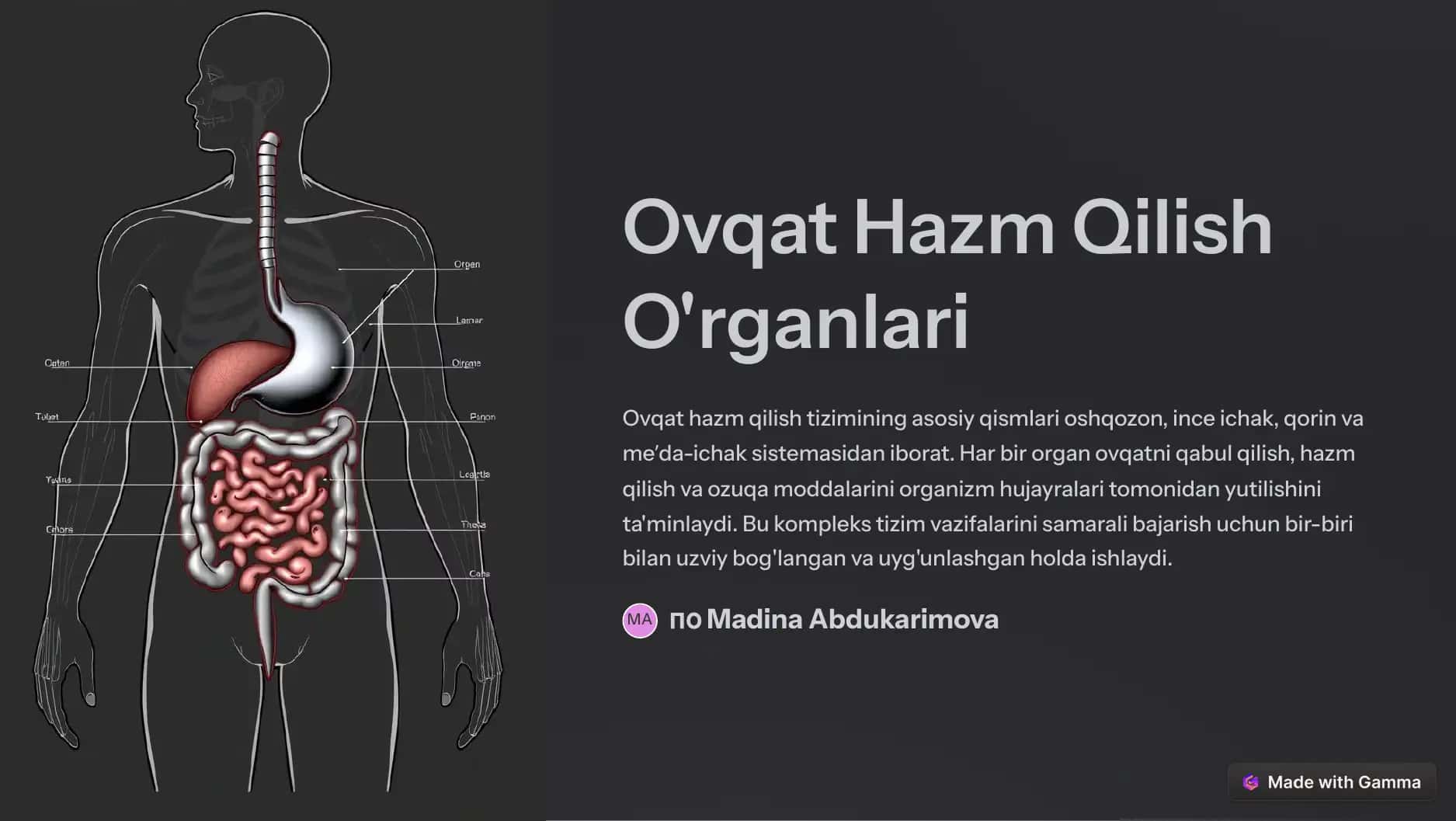 Ovqat Hazm Qilish 1
