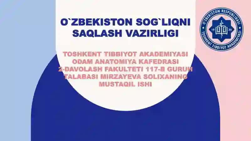 Oyoq suyaklari anatomiyasi 1
