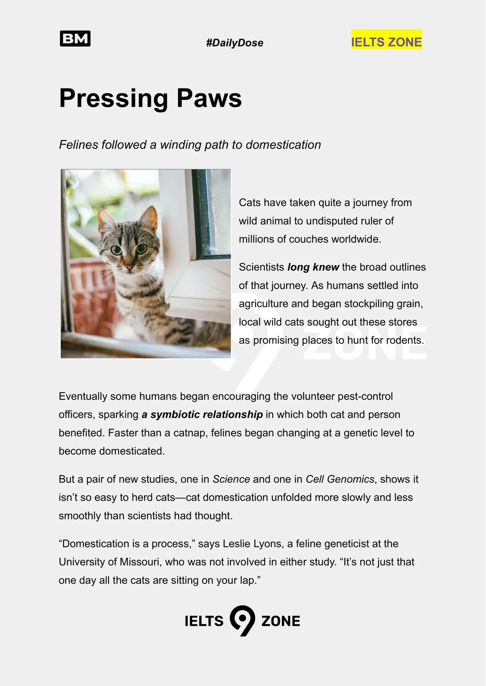 Pressing Paws 1