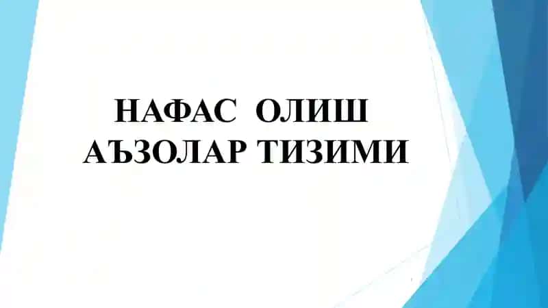 НАФАС ОЛИШ / nafas olish 1