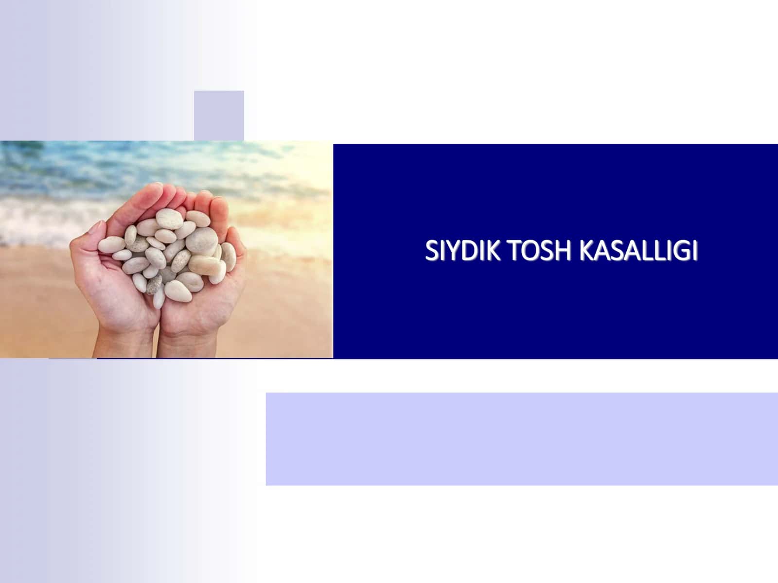 SIYDIK TOSH KASALLIGI 1