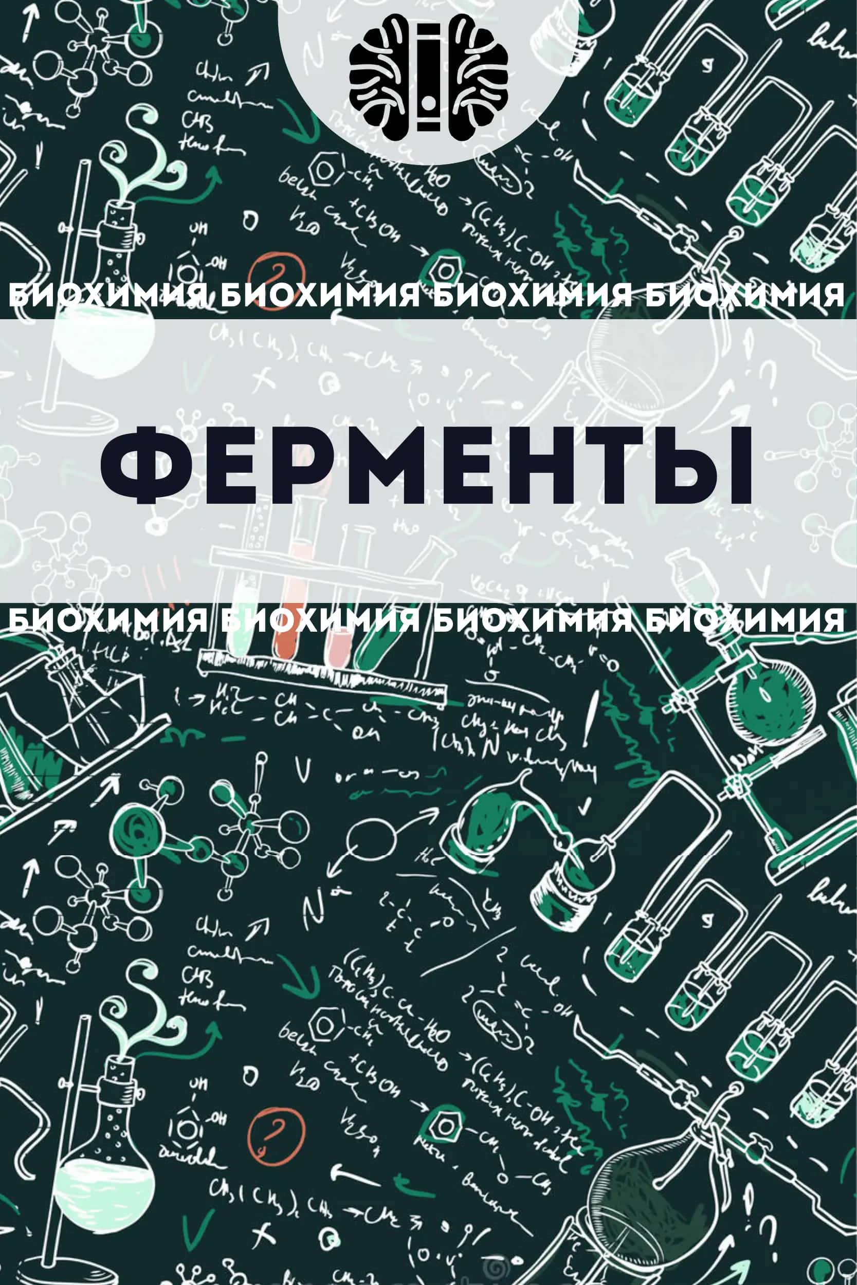 Ферменты (Энзимы) 1