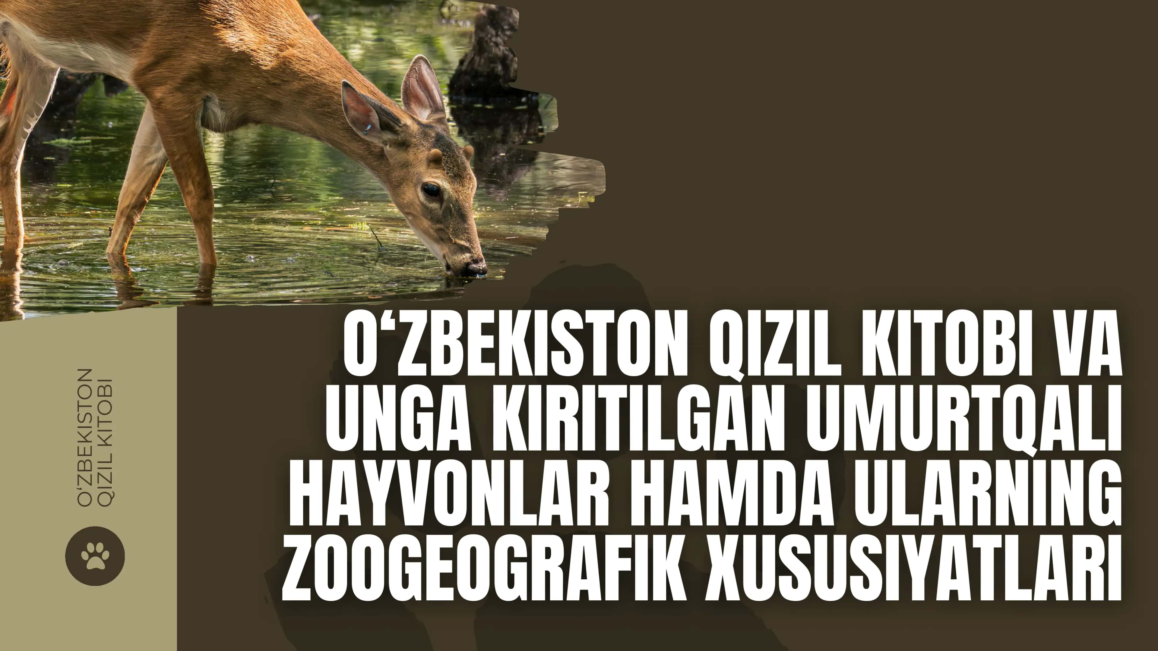 qizil kitobga kiritilgan umirtqalilar 1