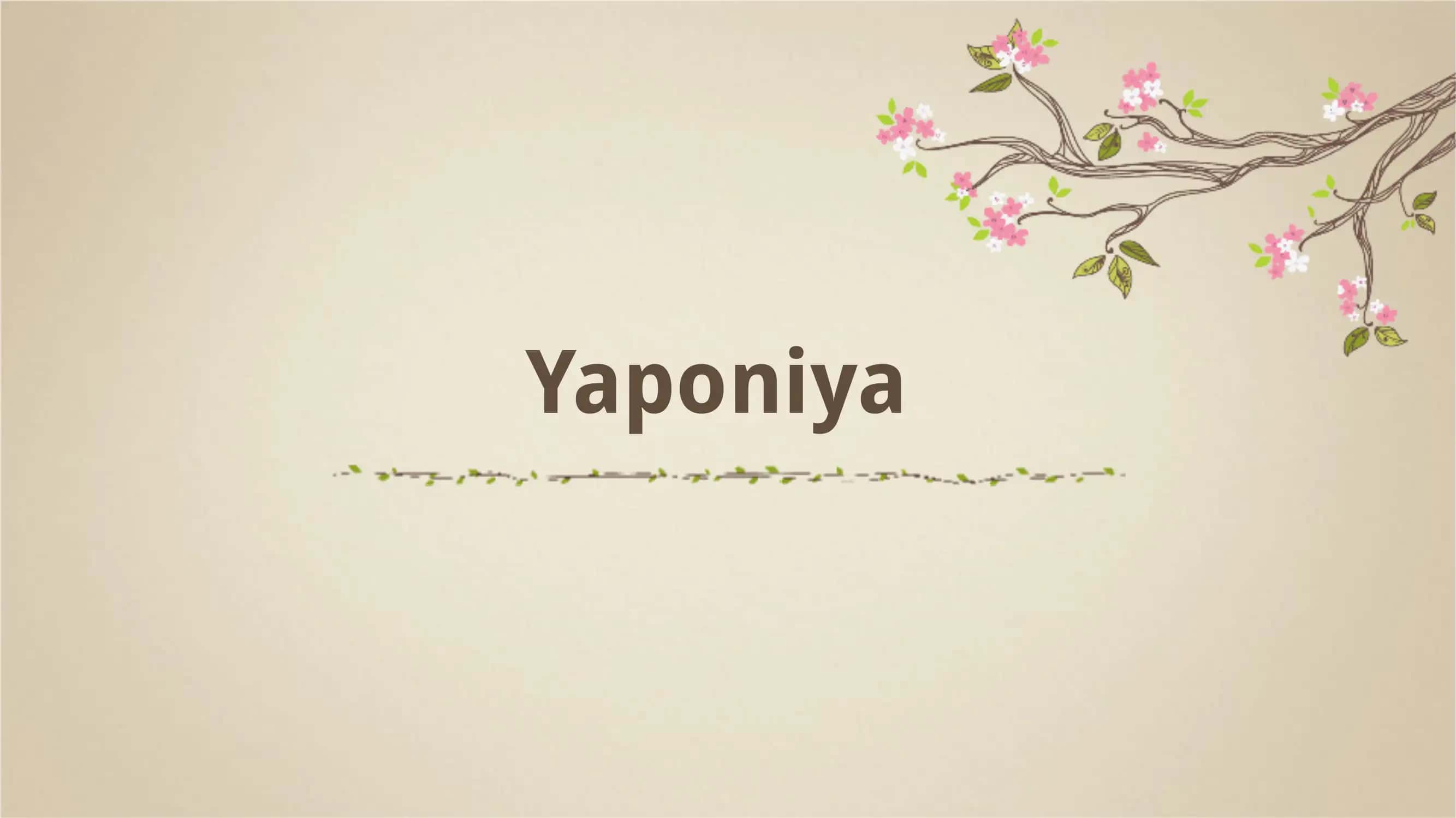 Yaponiya 1
