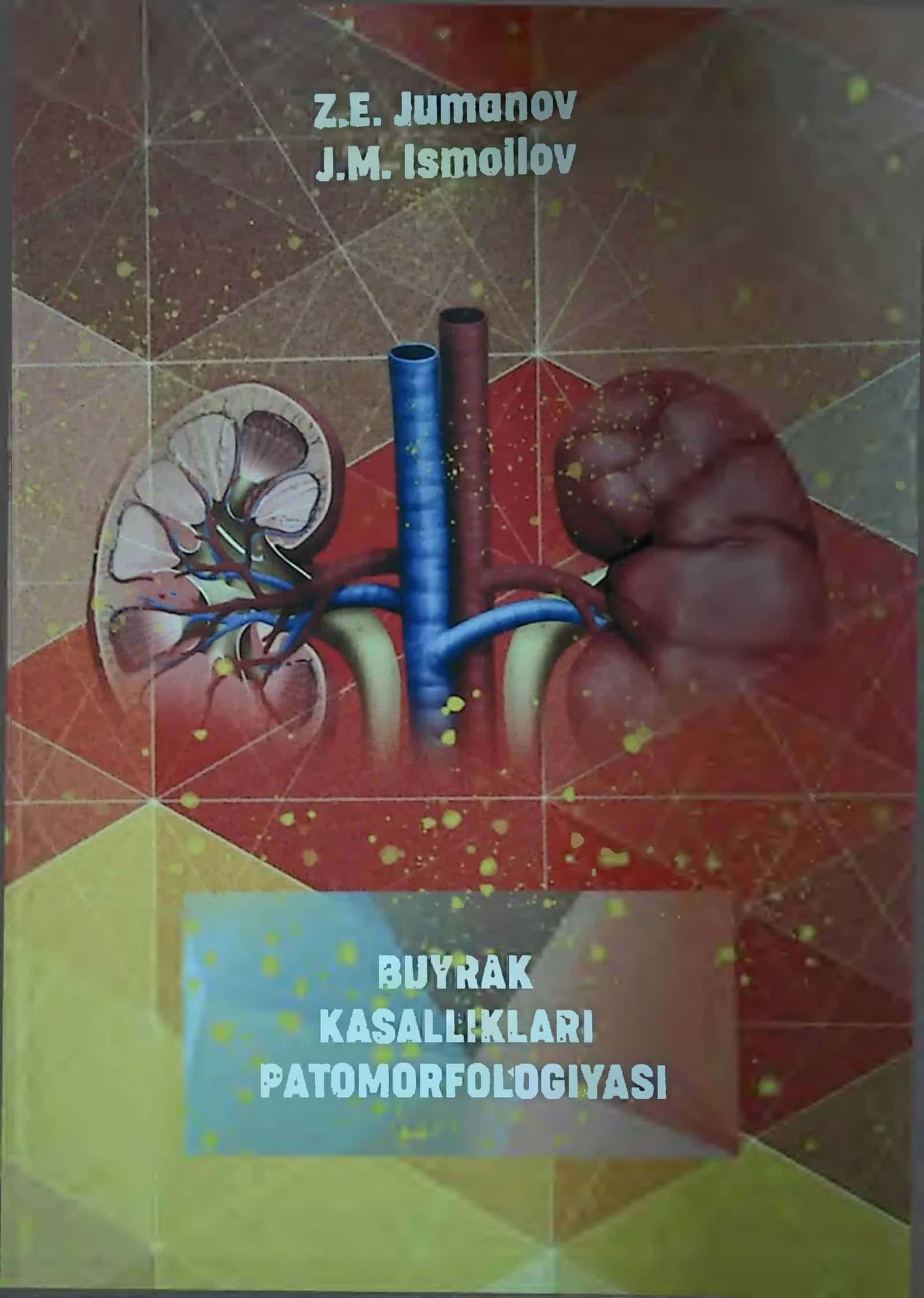 BUYRAK KASALLIKLARI PATOMORFOLOGIYASI 1