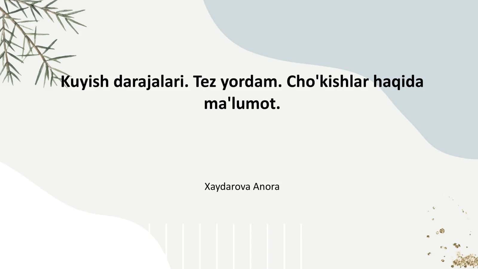 Kuyish darajalari. Tez yordam. Cho'kishlar haqida ma'lumot 1