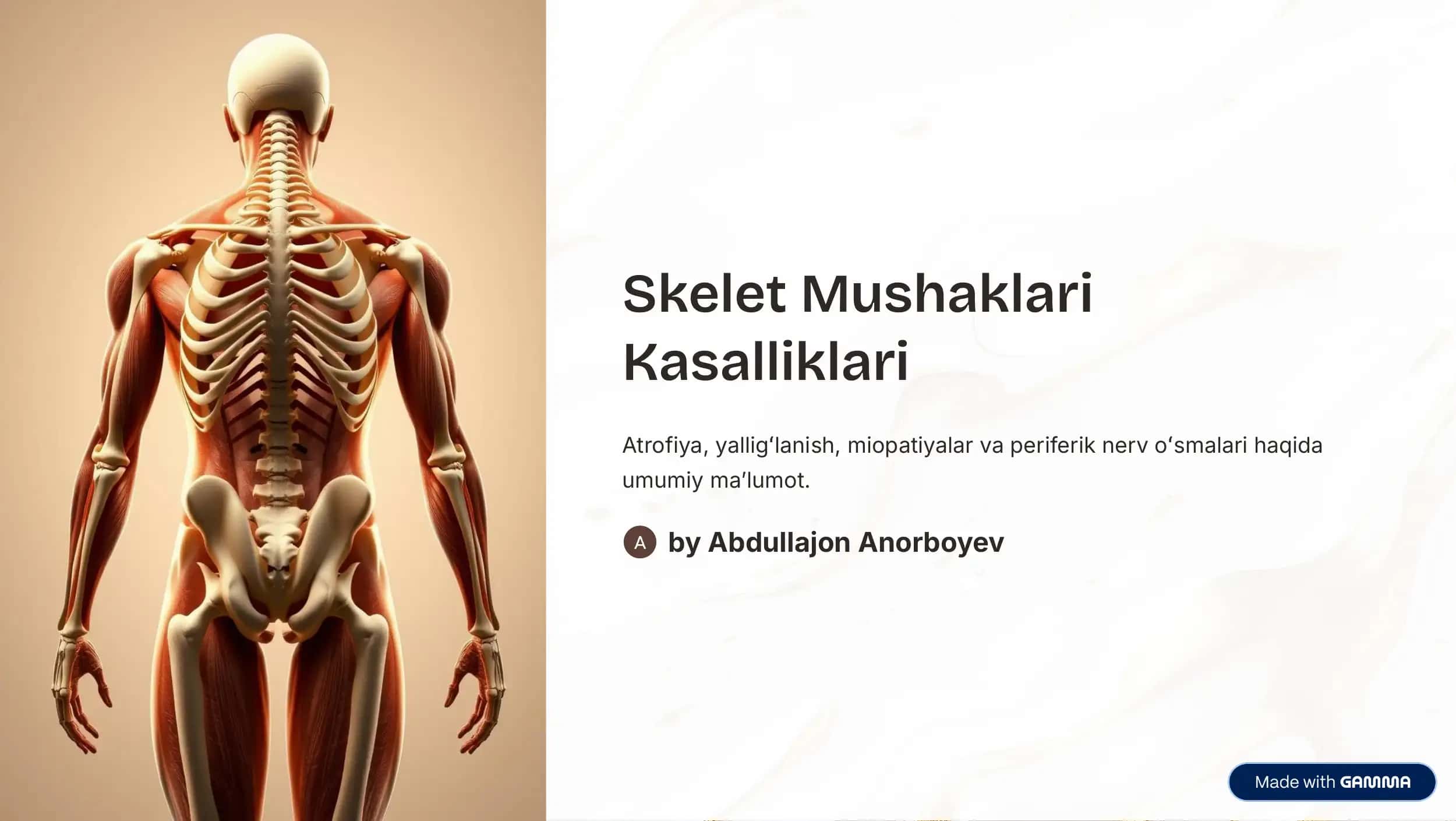 Skelet Mushaklari 1