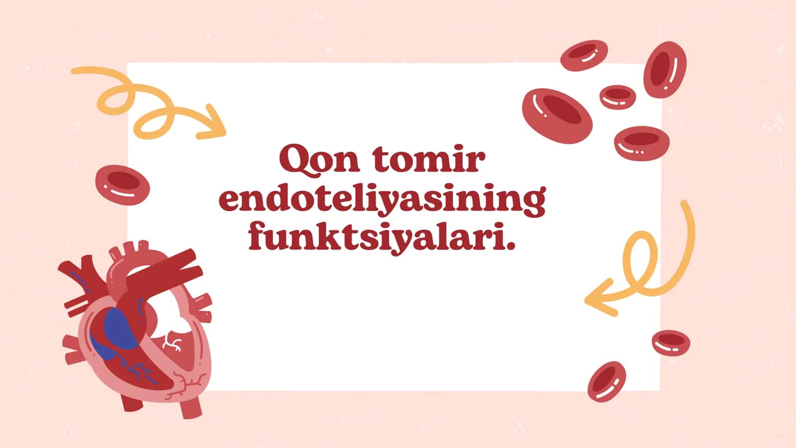 Qon tomir endoteliyasining  funktsiyalari. 1