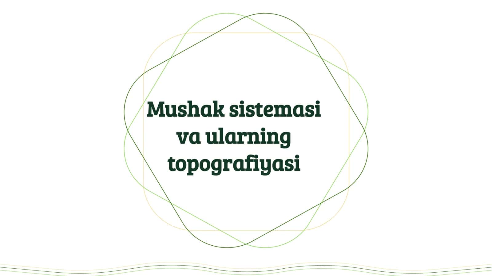 Mushak sistemasi va ularning topografiyasi 1