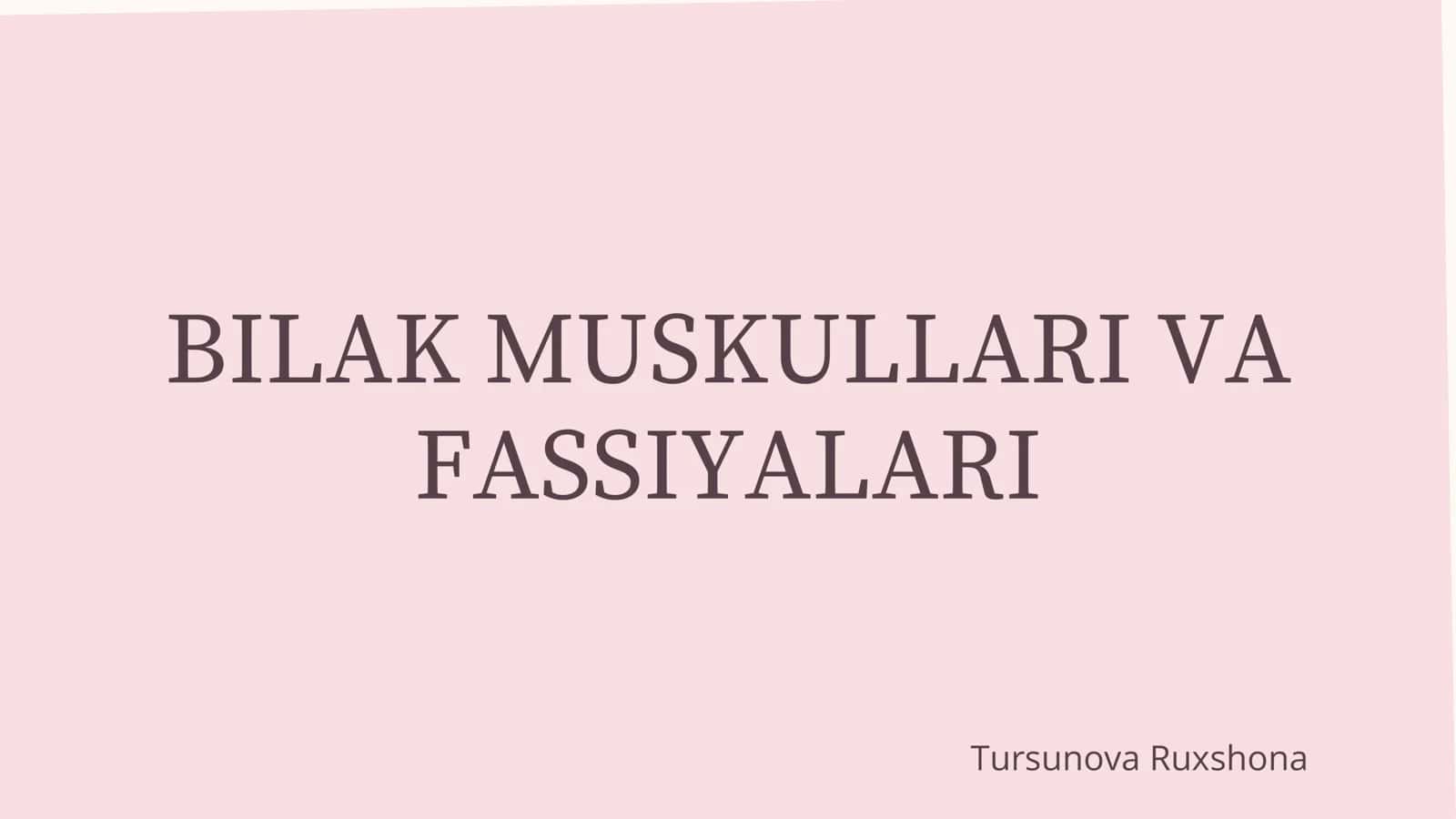 bilak mushaklari 1