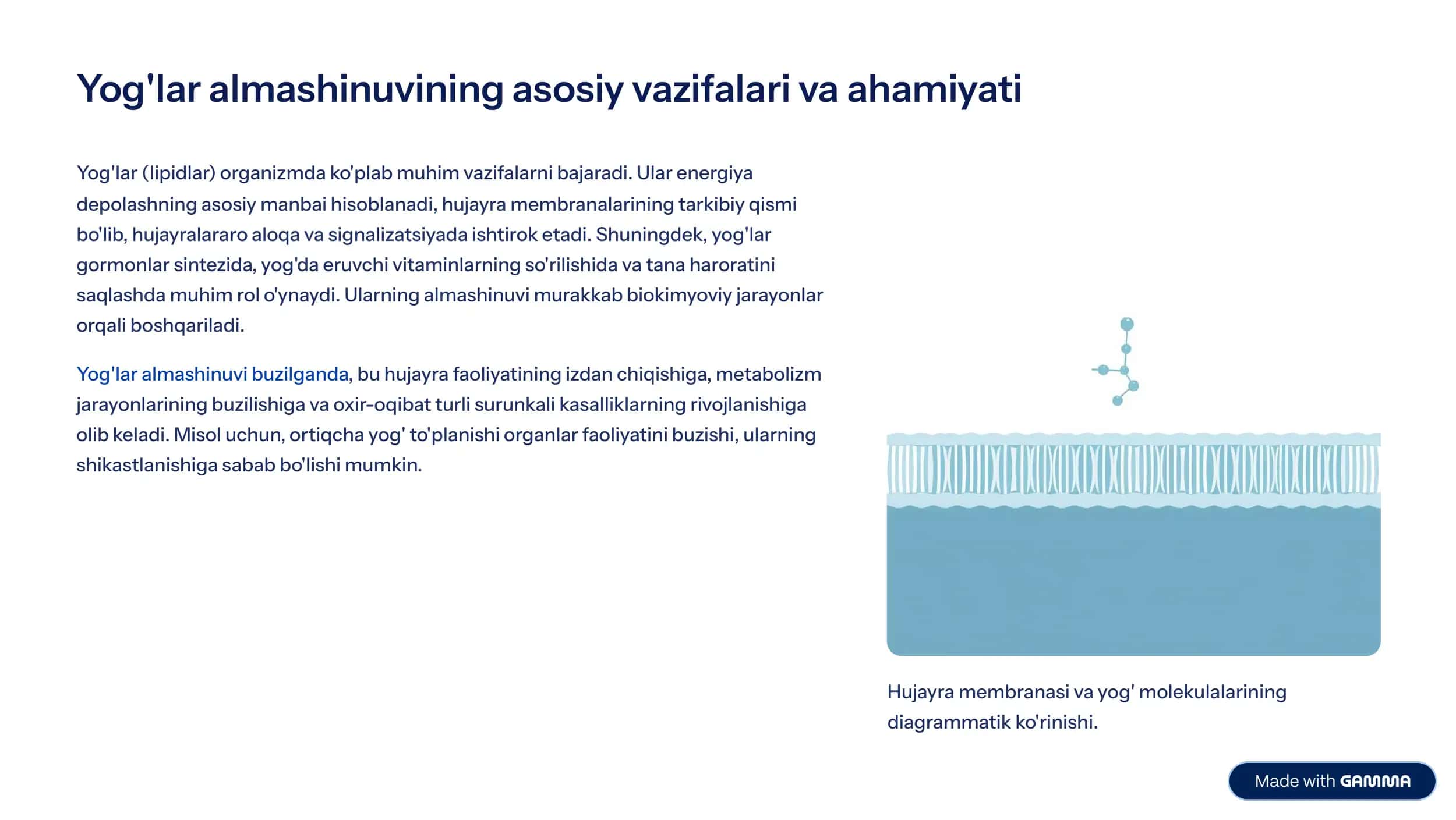 Yog'lar almashinuvining buzilishi bilan kechuvchi kasalliklar 2