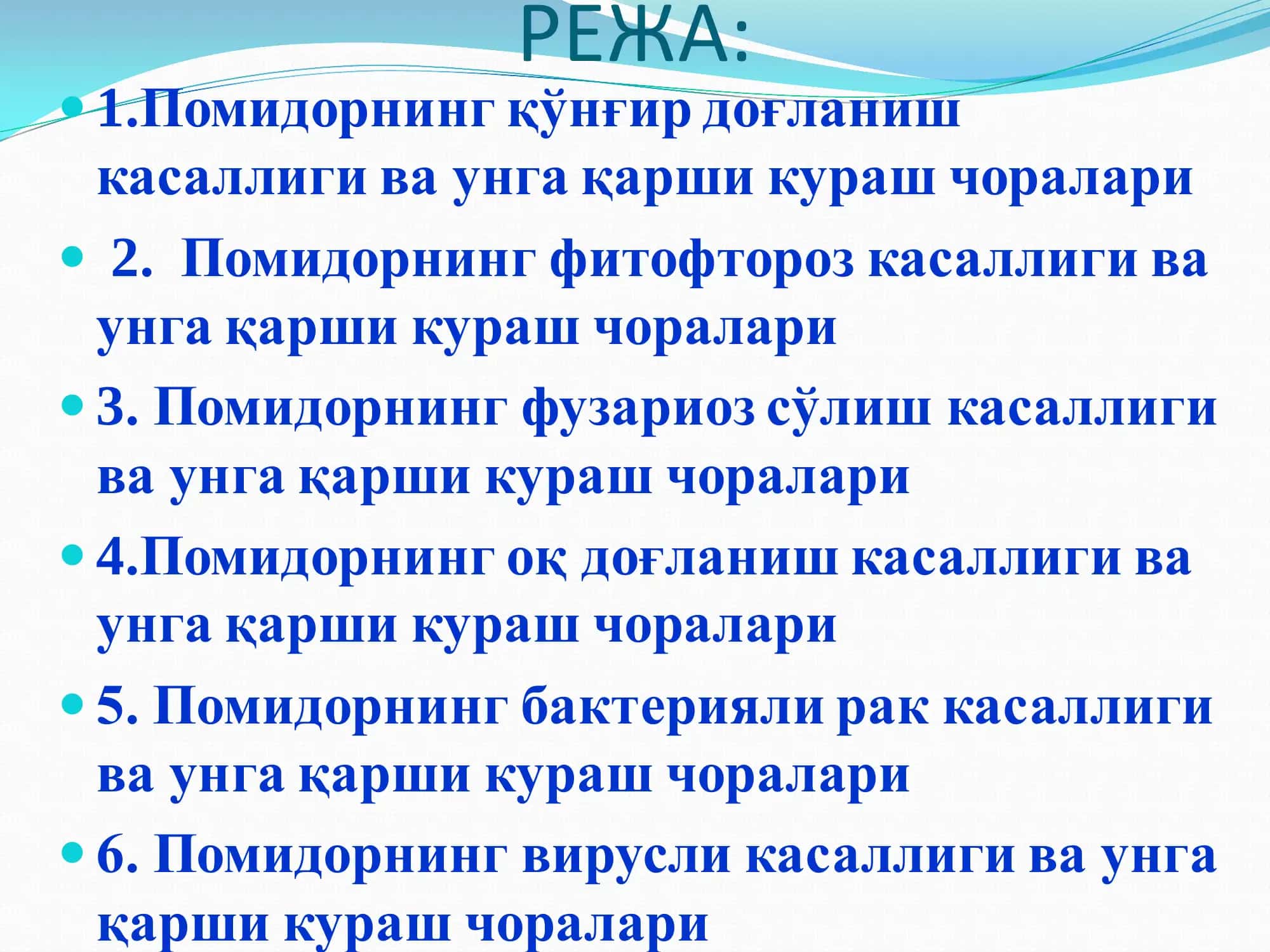 ПОМИДОР КАСАЛЛИКЛАРИ ВА УЛАРГА ҚАРШИ КУРАШ ЧОРАЛАРИ 2