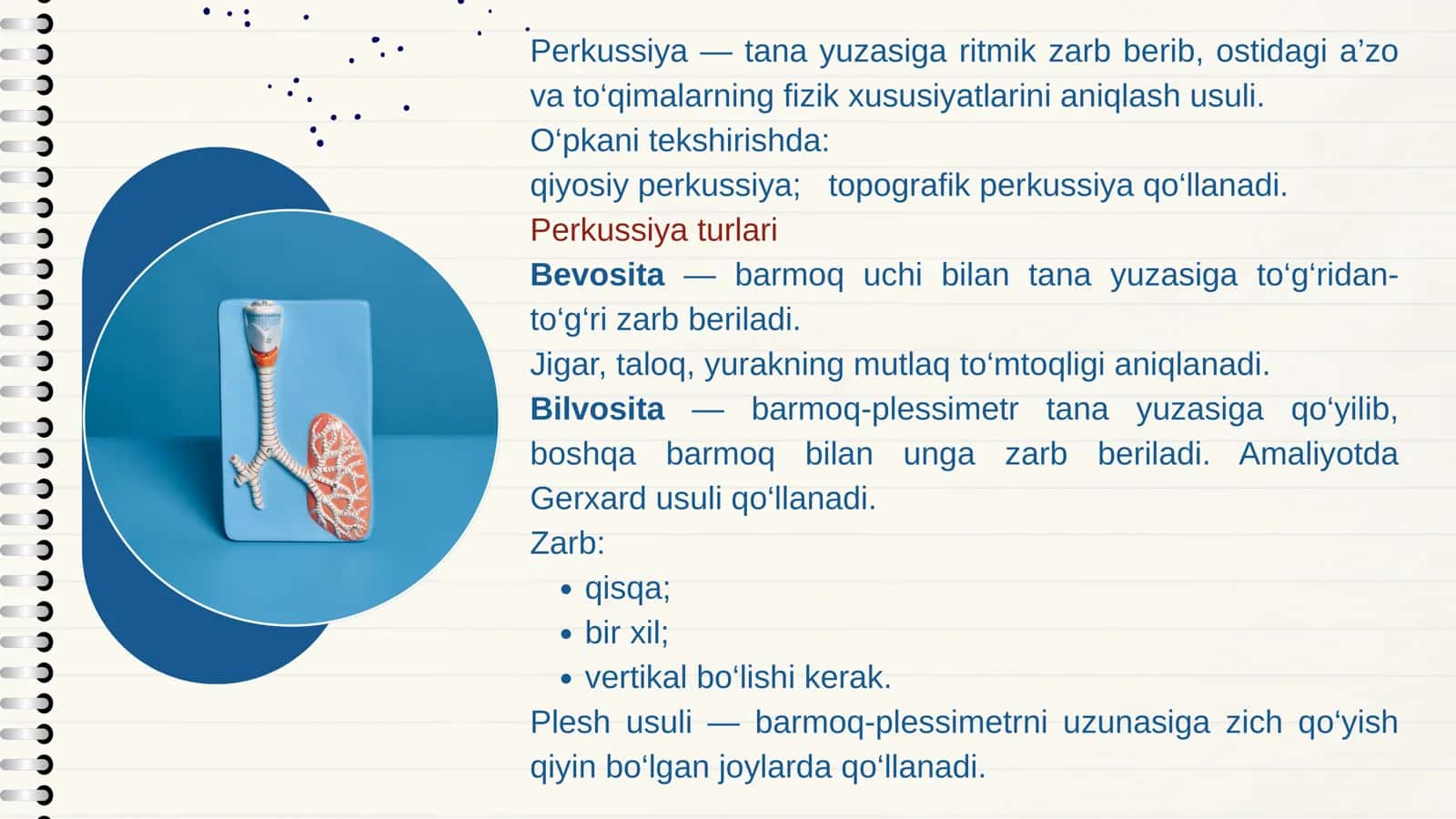 Oʻpka perkussiyasi 2