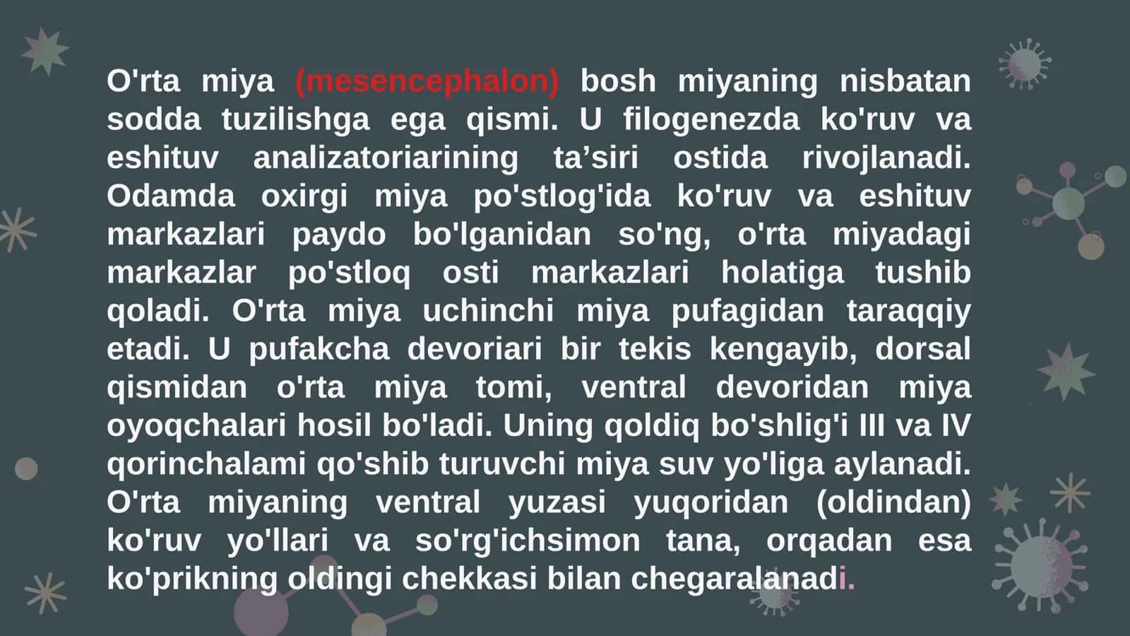 Tursonova Ruxshona 2
