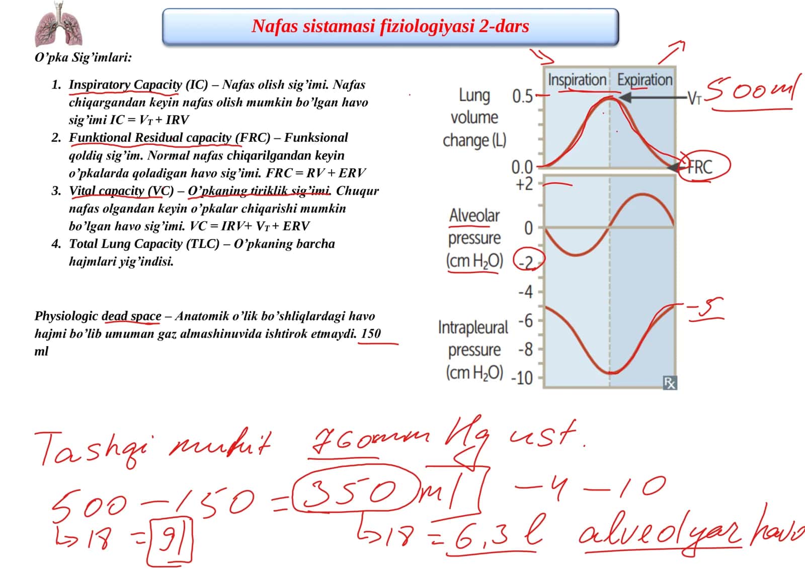 Nafas sistamasi fiziologiyasi 2-dars 2