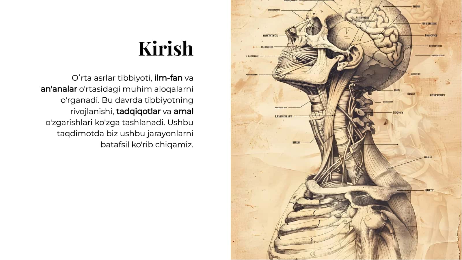 Oʻrta asrlar tibbiyotl 2