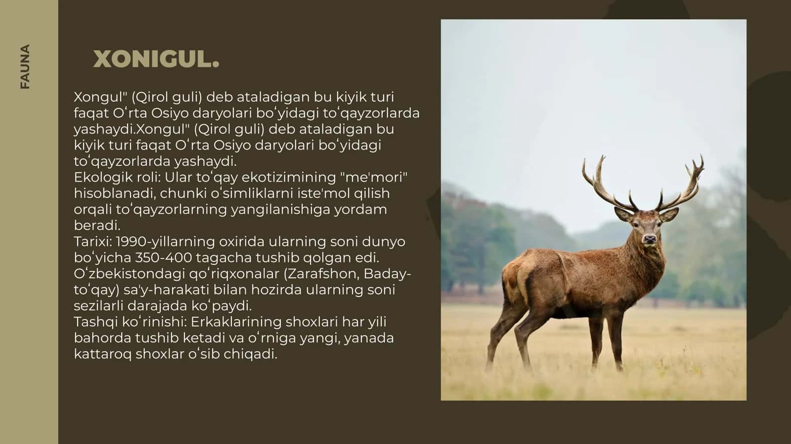 O'ZBEKISTON QIZIL KITOBIGA KIRITILGAN HAYVONLAR VA O'SIMLIKLAR HAQIDA ALBOM 2