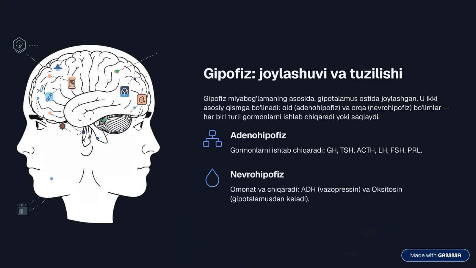 Gipofiz: Tananing Dirijyori 2