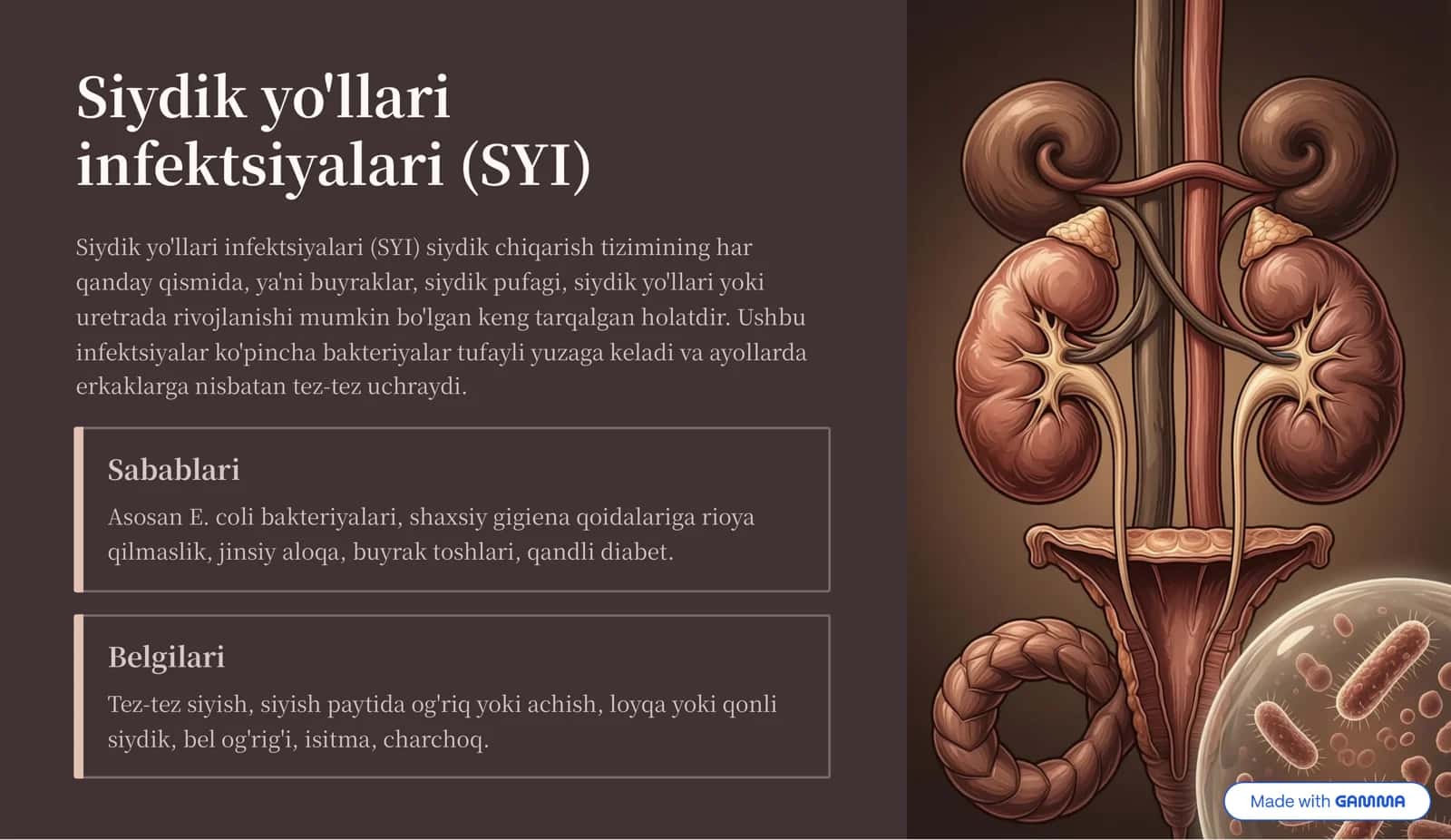 Siydik yo'llari infektsiyalari (SYI) 2