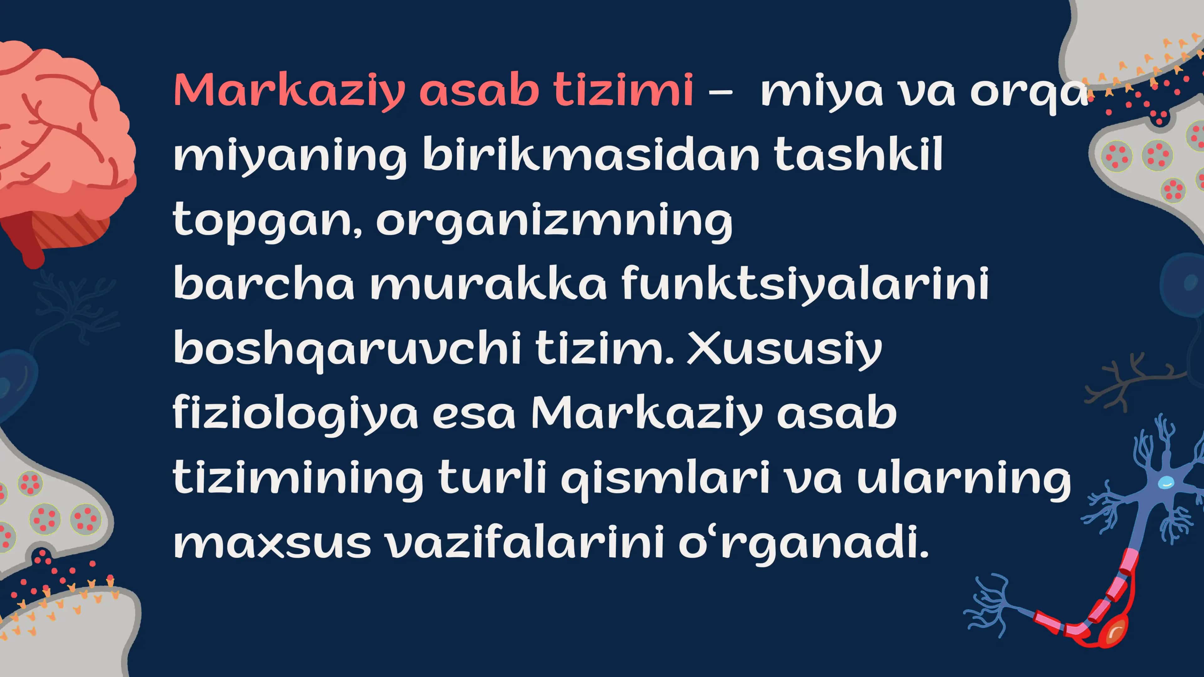 Markaziy asab tizimining  xususiy Fiziyalogiyasi 2