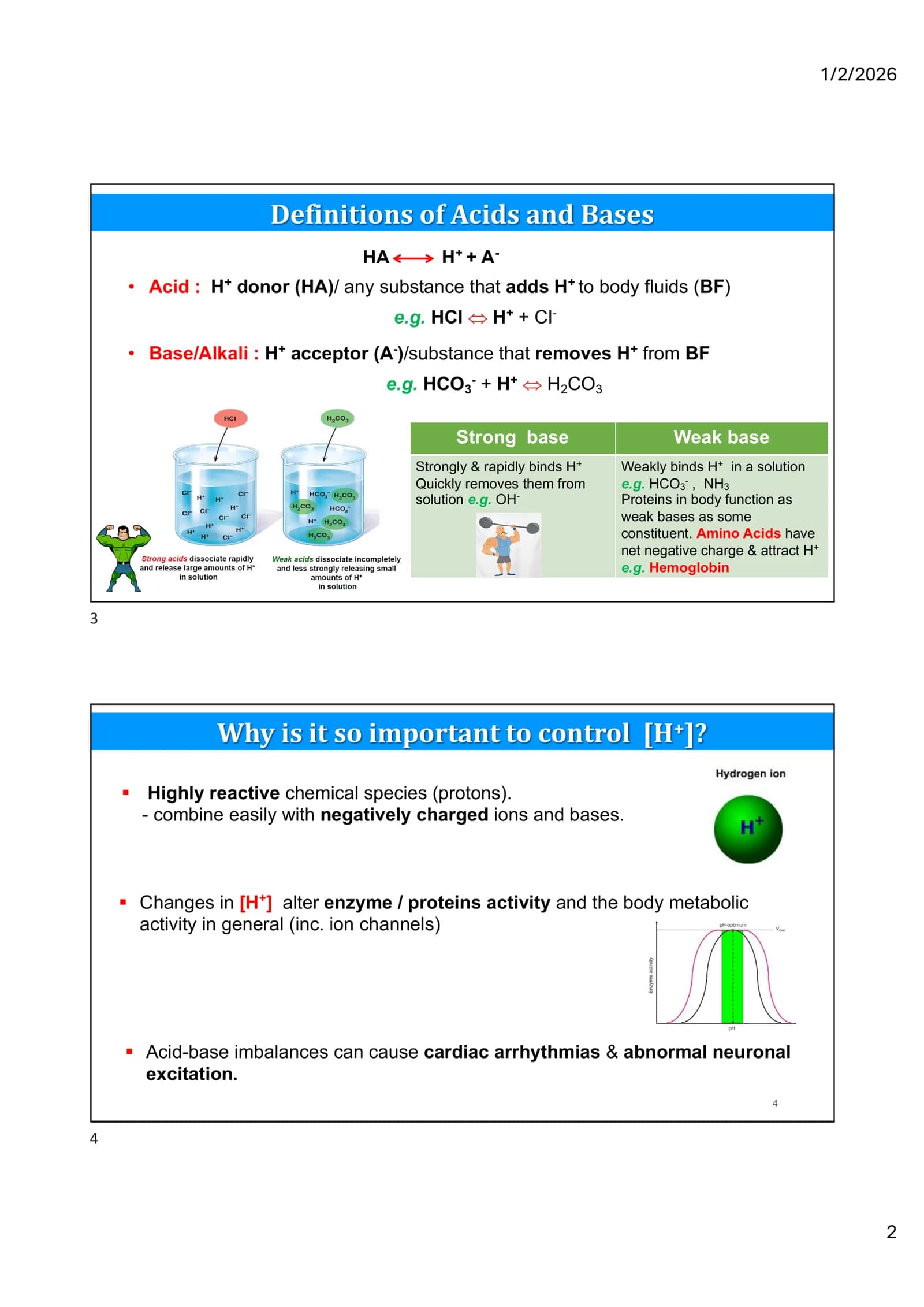 Acid-Base Balance Regulation 2