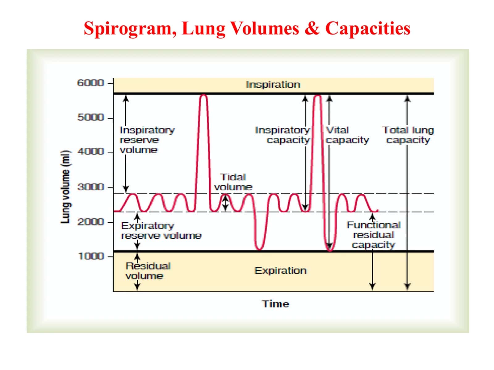 Spirometry Practical 2
