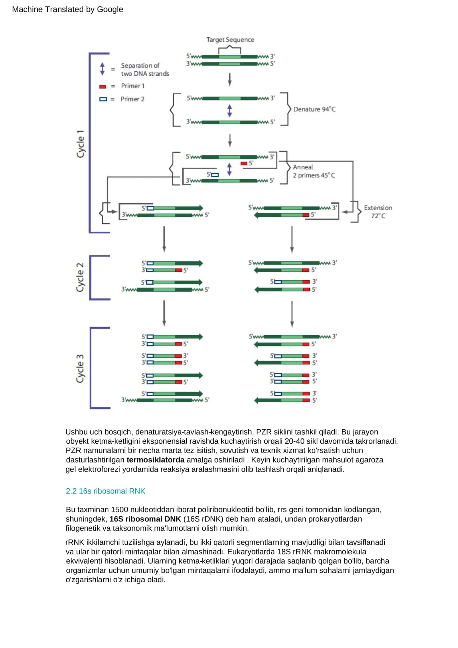 2.1 PCR 2