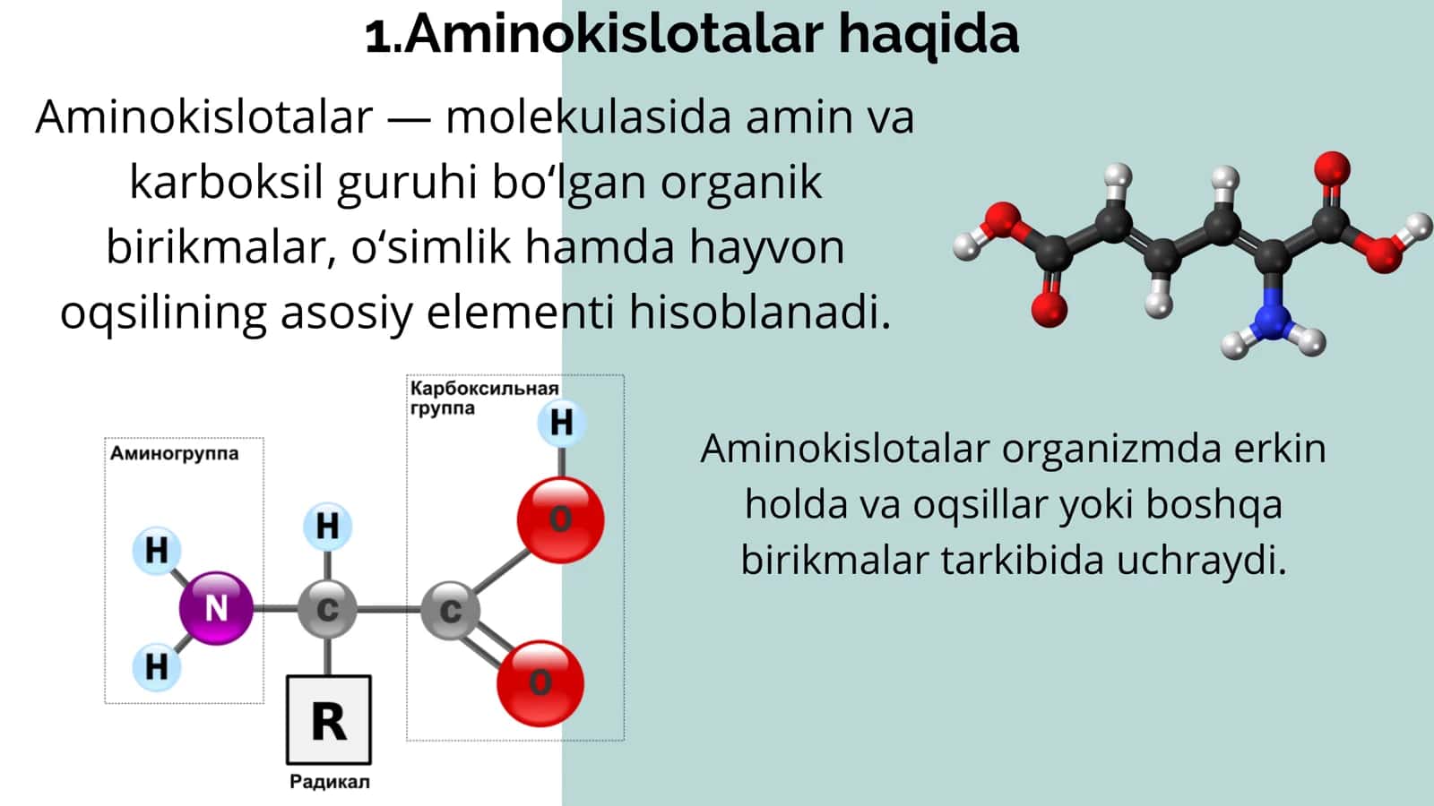 AMINOKISLOTALAR 2