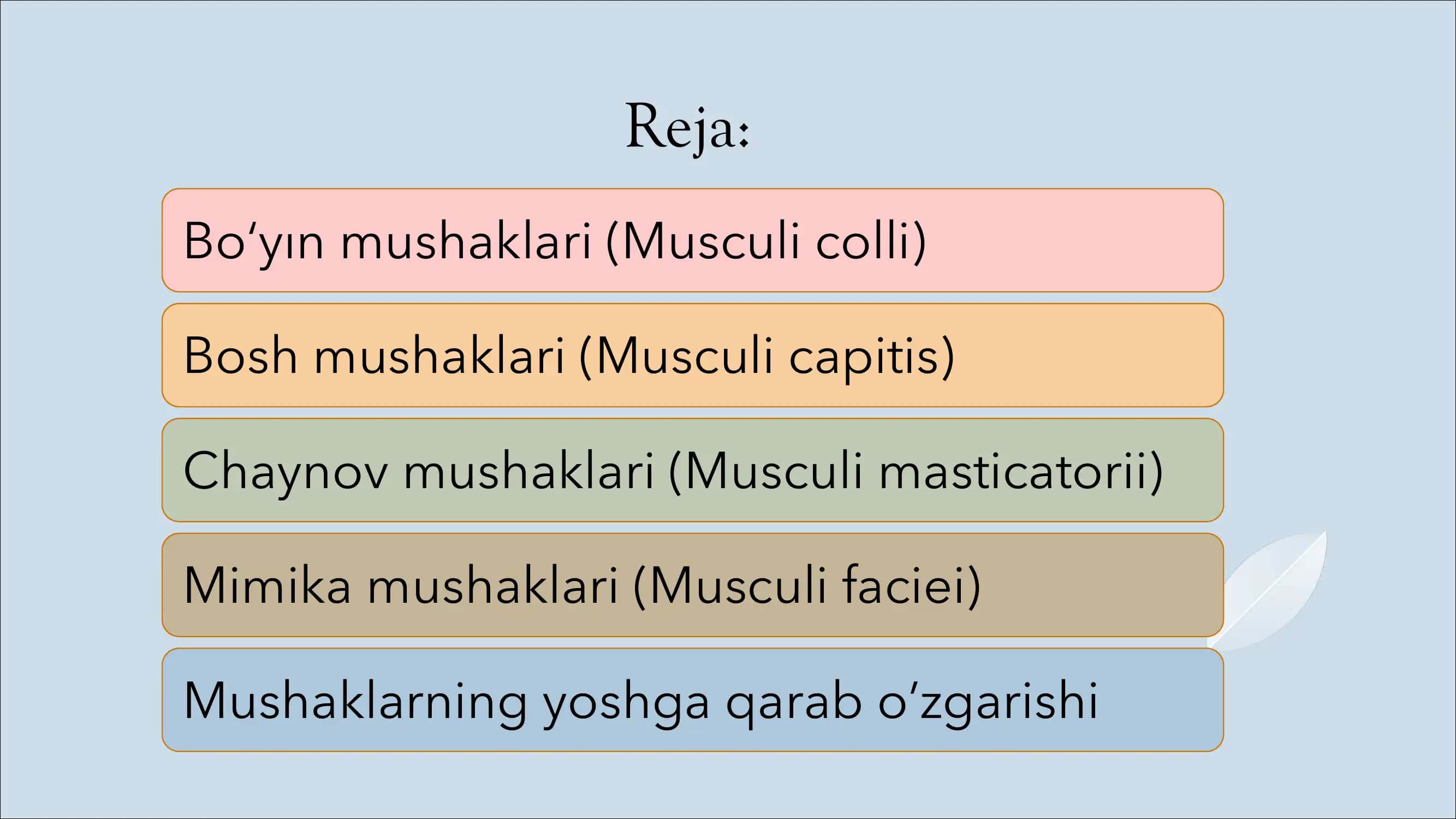 bo'yin mushaklari. Bosh mushaklari. chaynov va mimika mushaklari. Ularning yoshga doir xususiyatlari 2