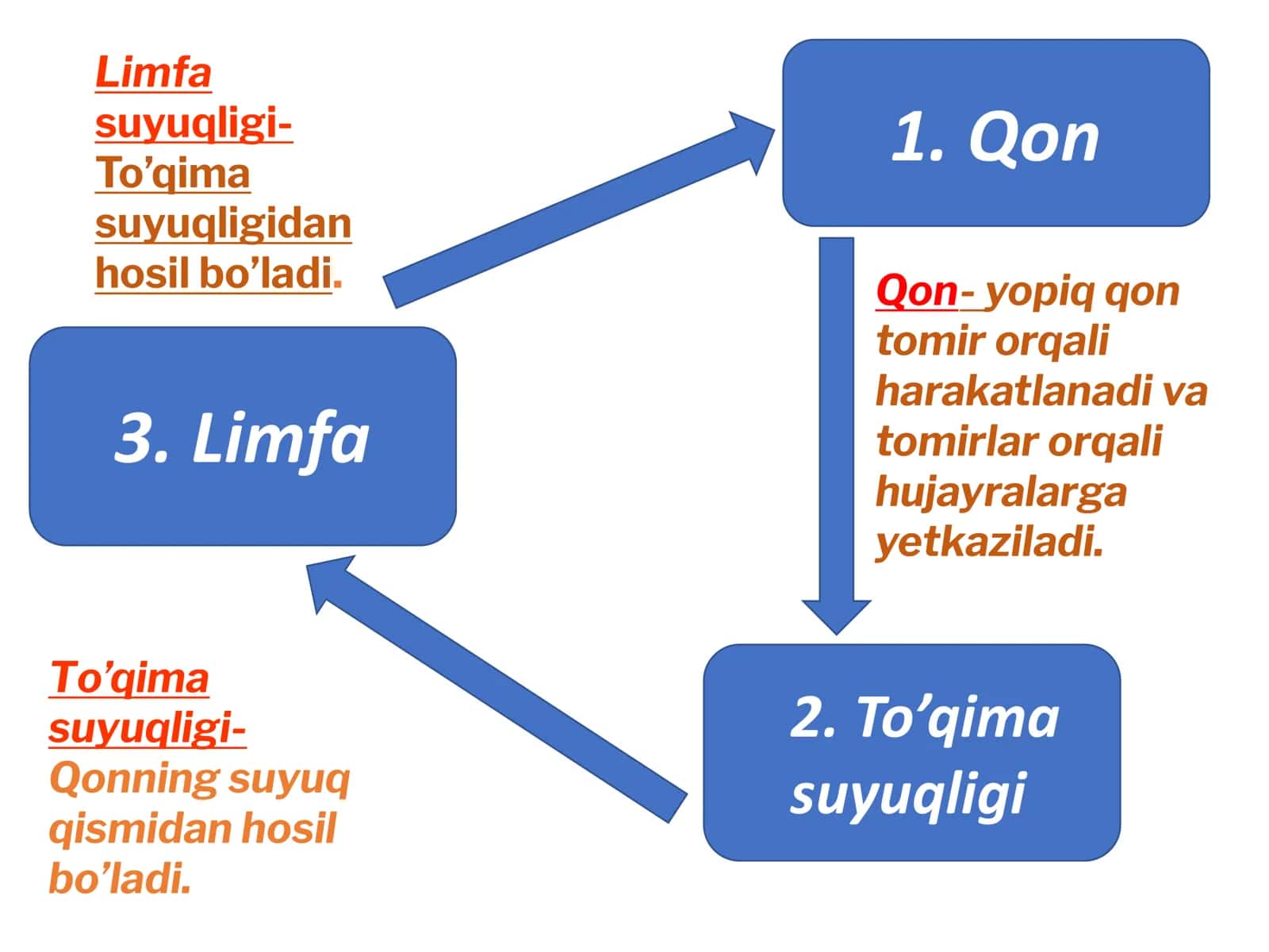 Qoning fizik va kimyoviy xossalarini tekshirish 2