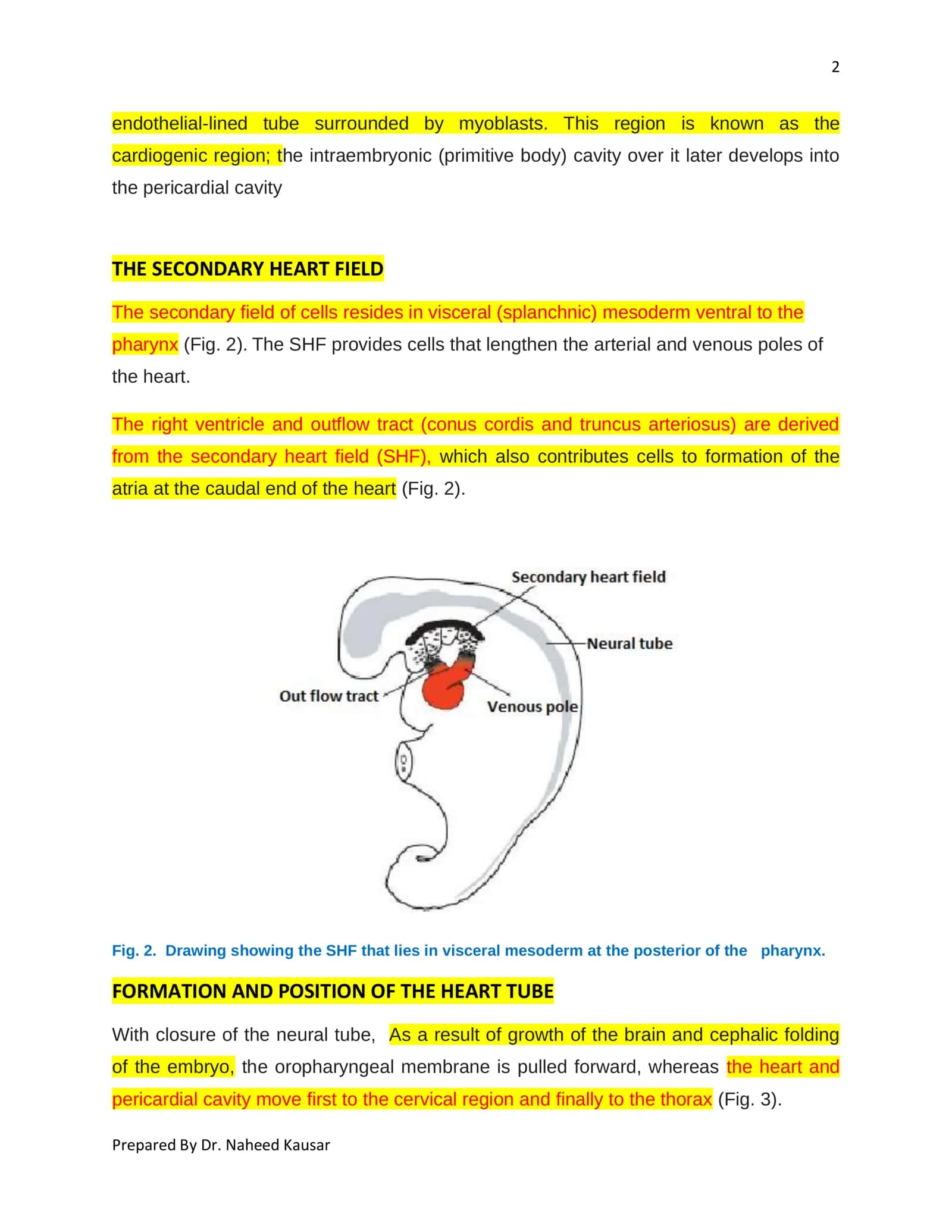 EMBRYOLOGY READER 2