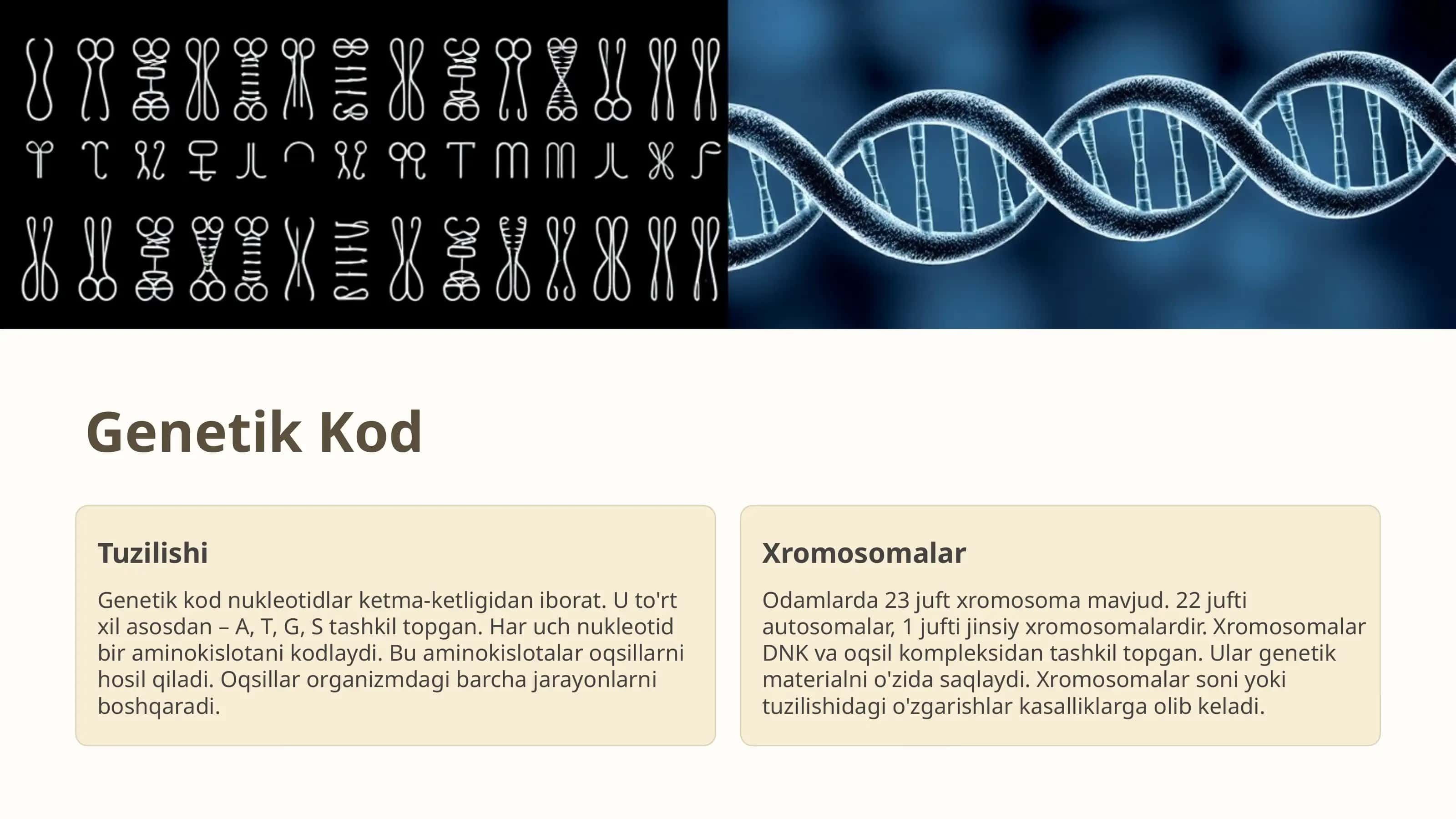Odamlar Genetikasi 2