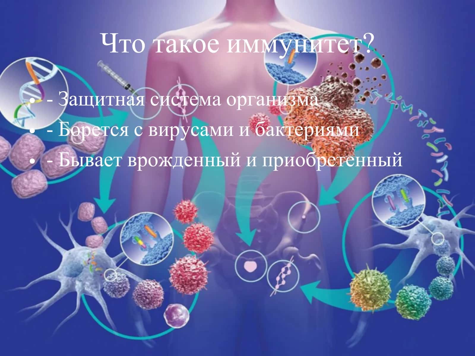 Как укрепить иммунитет 2