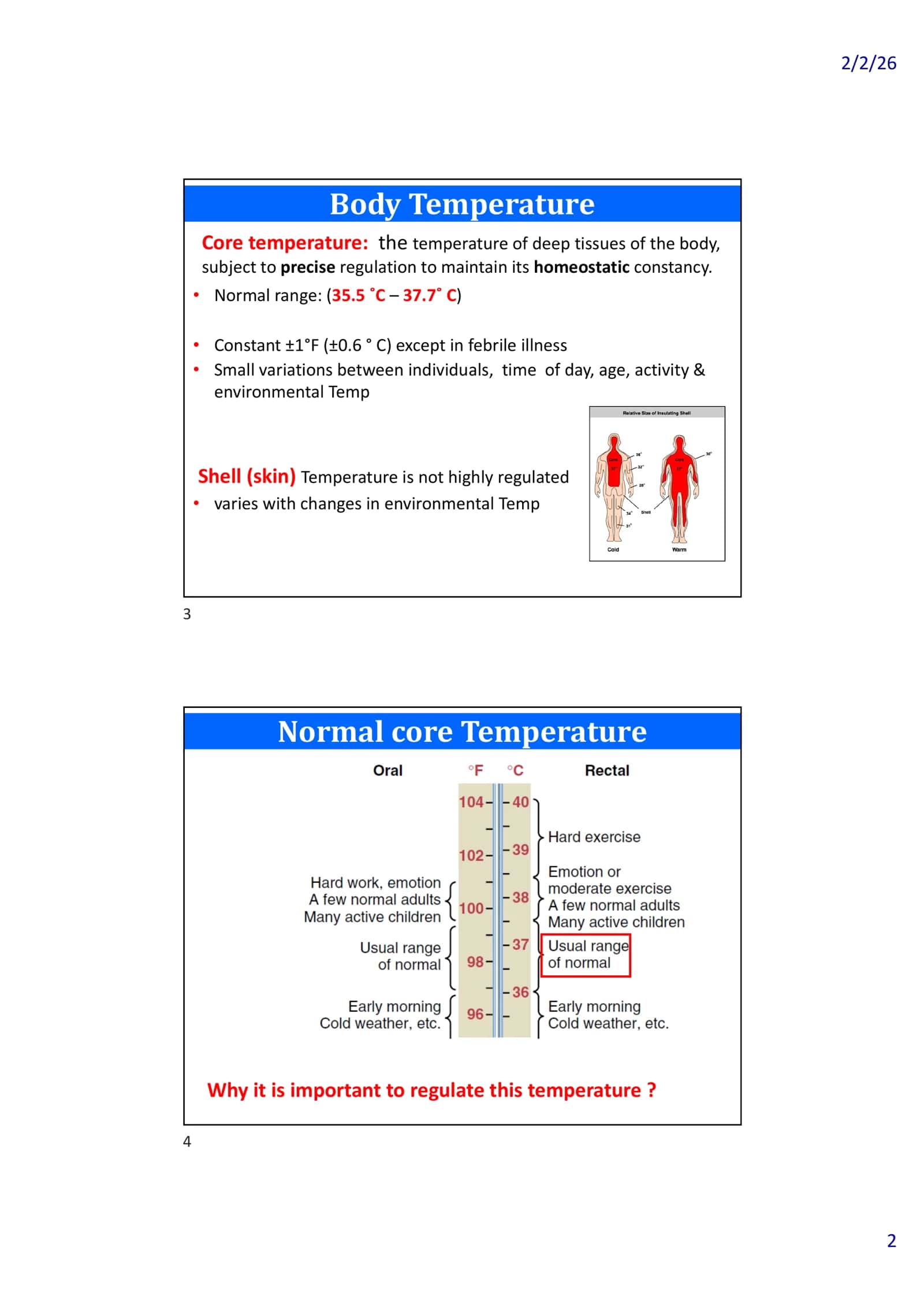 Temperature Regulation of the Body 2